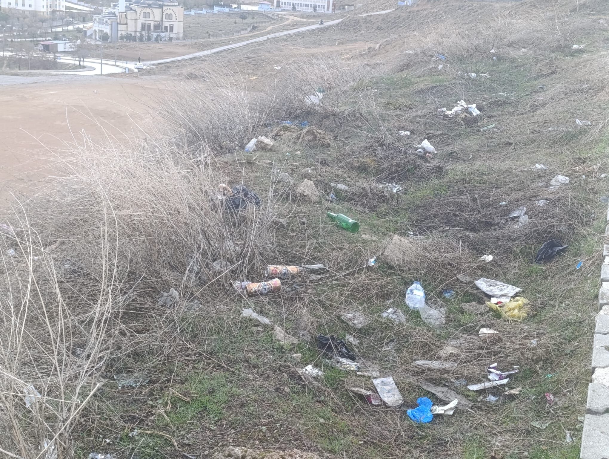 650Aa5D6 3Ef7 4Cd6 Abff 227B3F2C882B