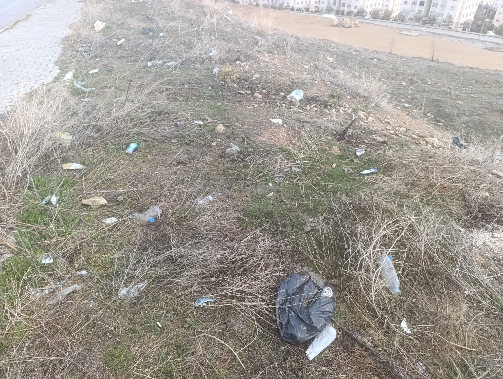 9E37A05B E9Ab 45C7 8057 21A7B84Dae4F