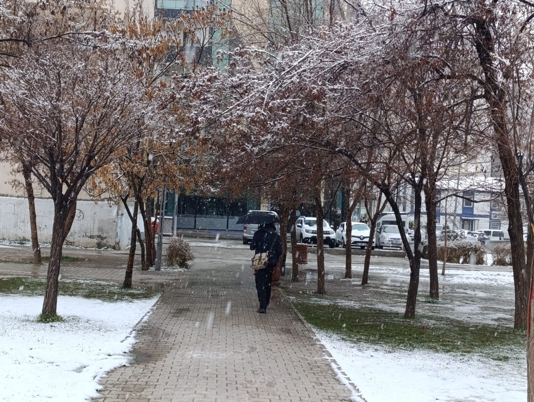 A3A3F0B8 20Aa 4C34 B53E 8B84De0De62E