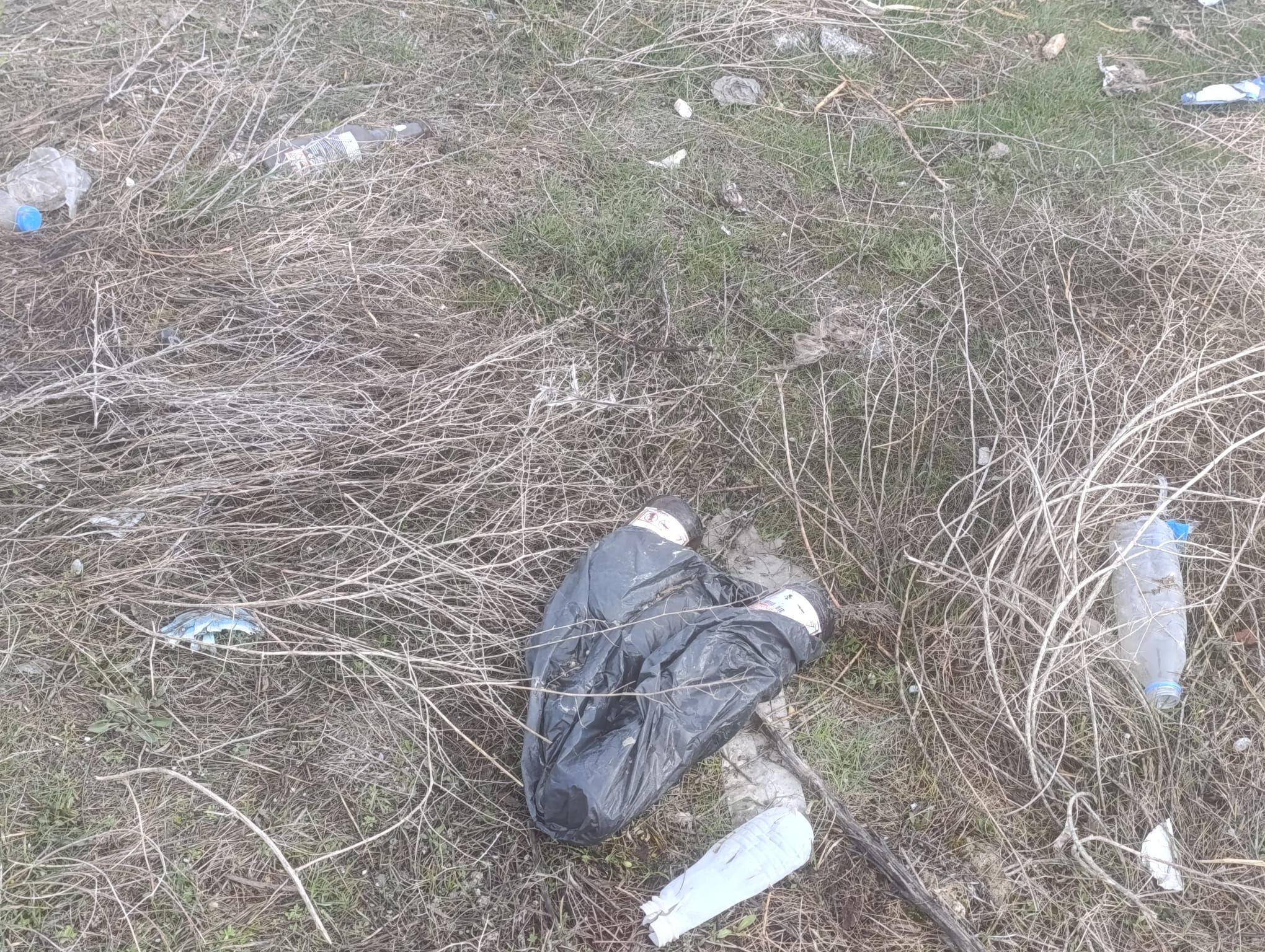 B31Bedd0 4210 49B2 950B 4Edd3235A2D6