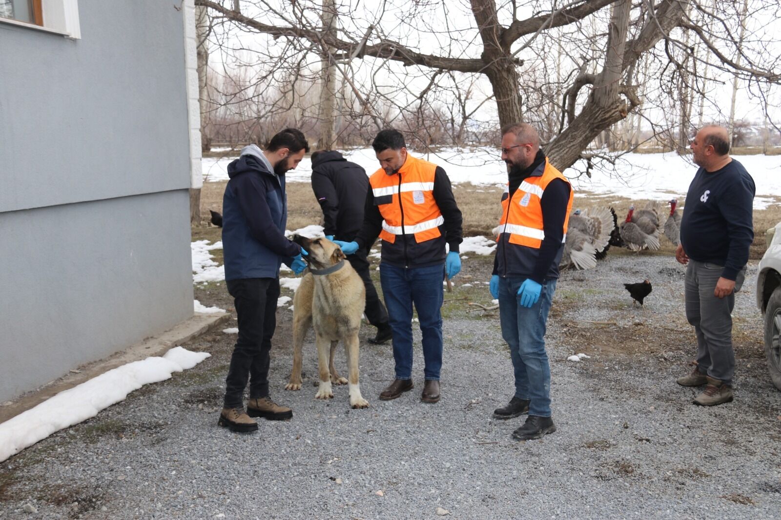 B5Ec9Bbb 0076 4E40 8E74 B86D5Bd6A0B4