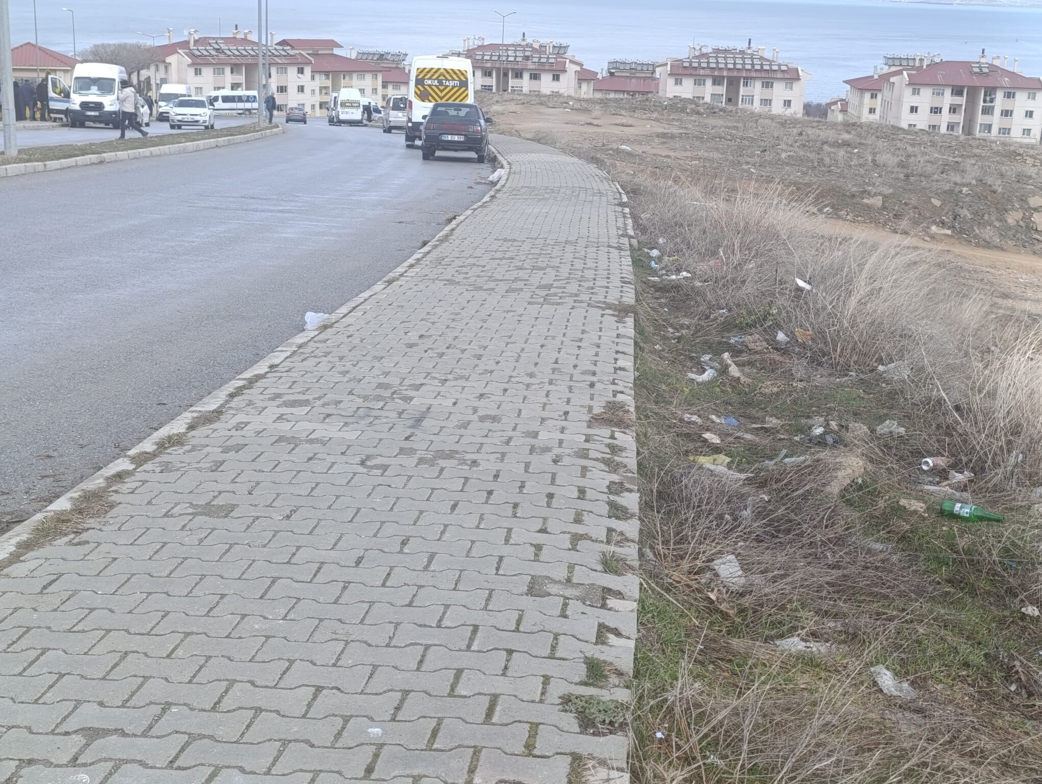 Bcdc81F7 B10E 429D Bb55 8Cd9Fa1F44F4