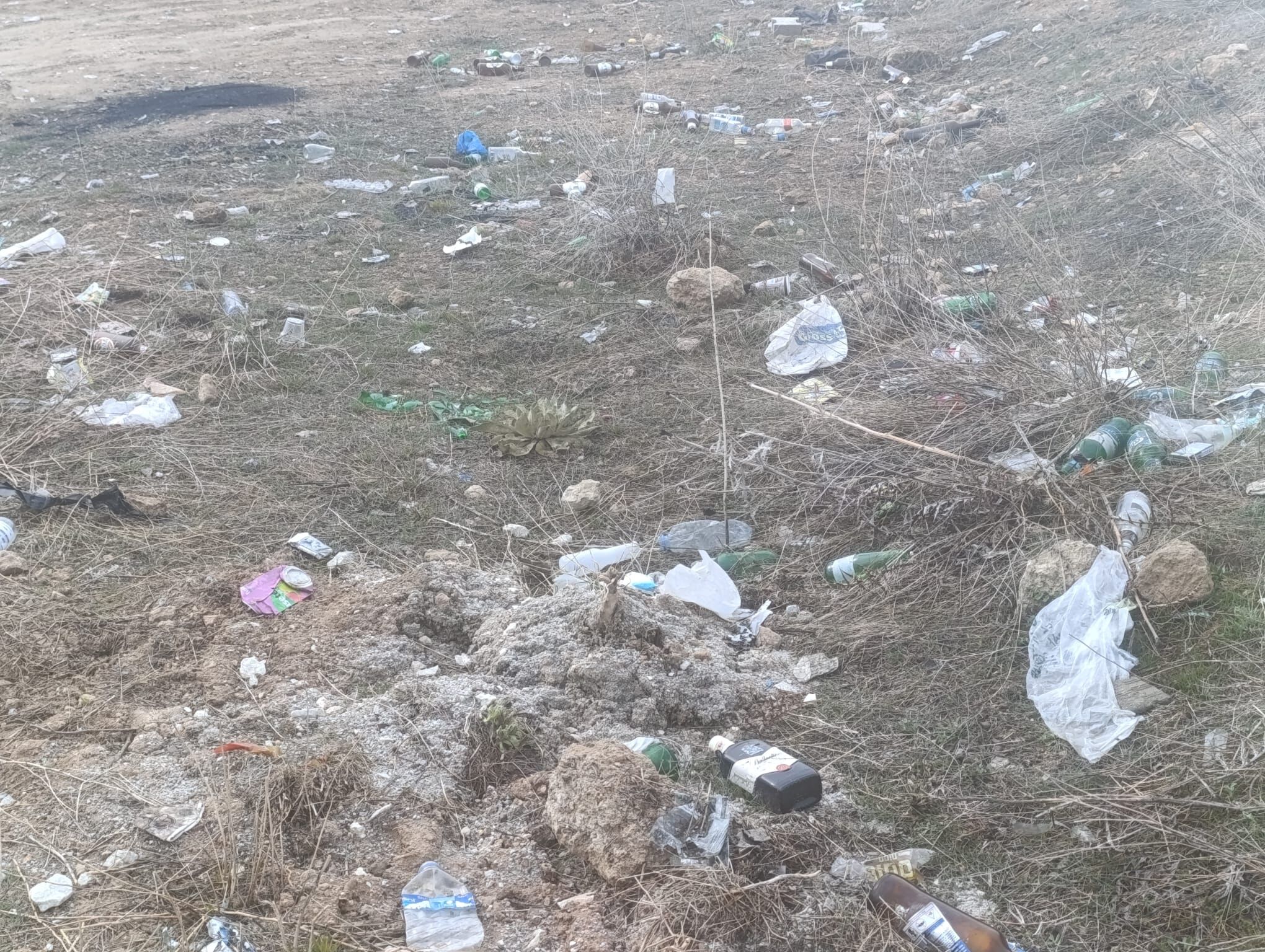 C4D538Dd 3F55 41E8 Bb39 21C0529Cdf1D