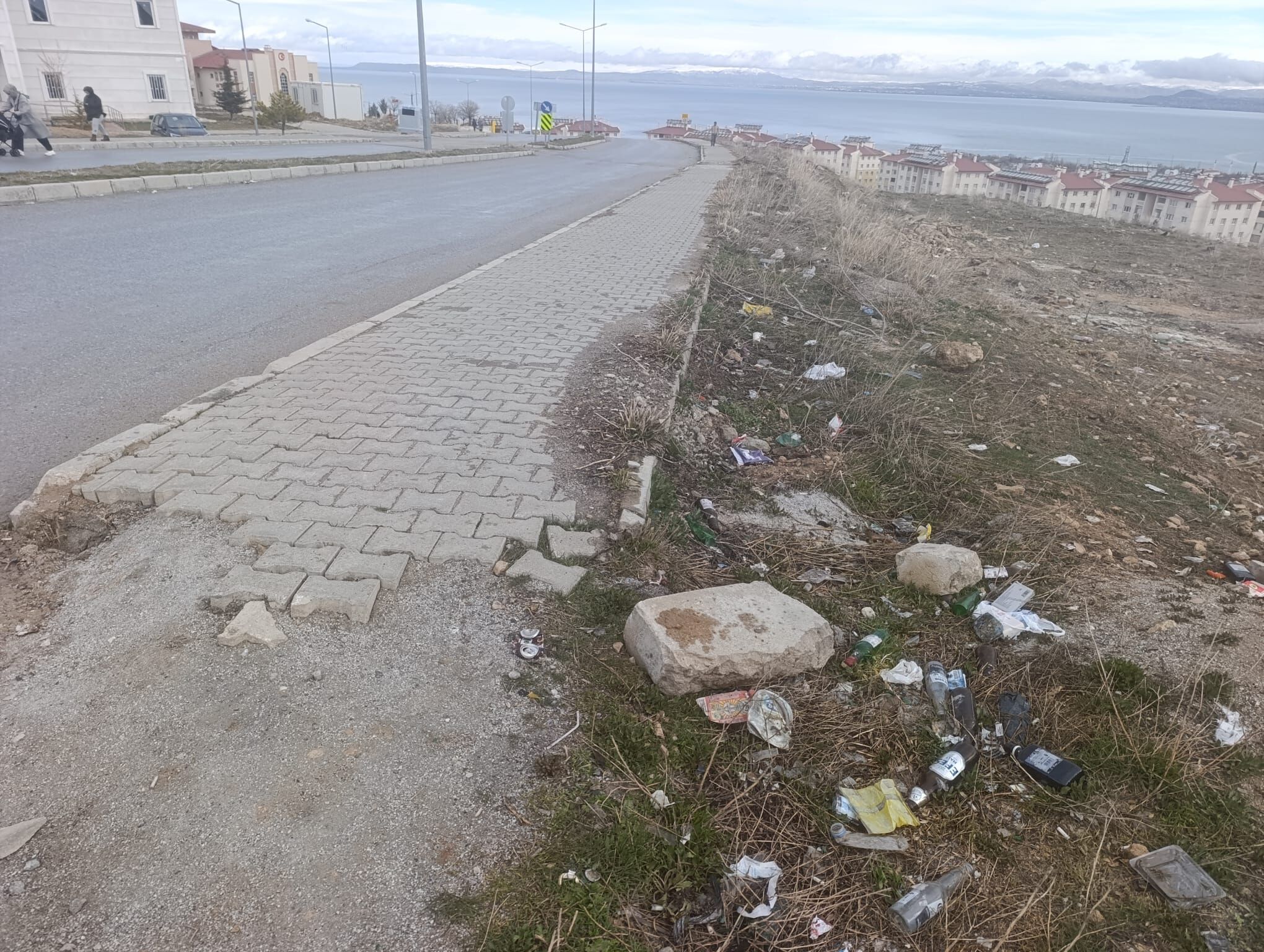 Cc14C129 Be2C 48A5 A4E8 56E2994Aa3Ab