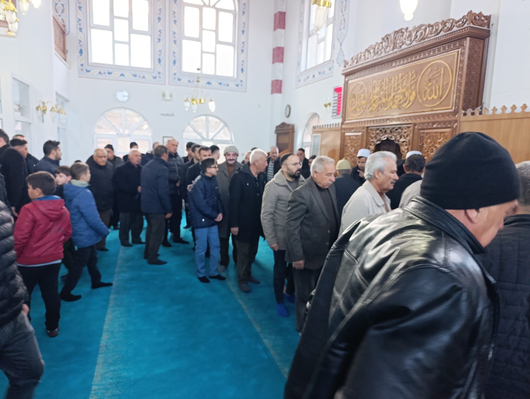 Db795B16 Dccc 4Ec9 B428 4Ad42D72Edbe