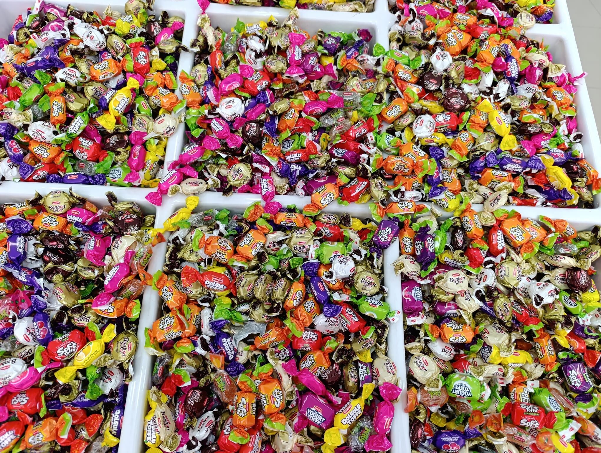 F225523D B5F4 4D7C 918E C8D377B40588