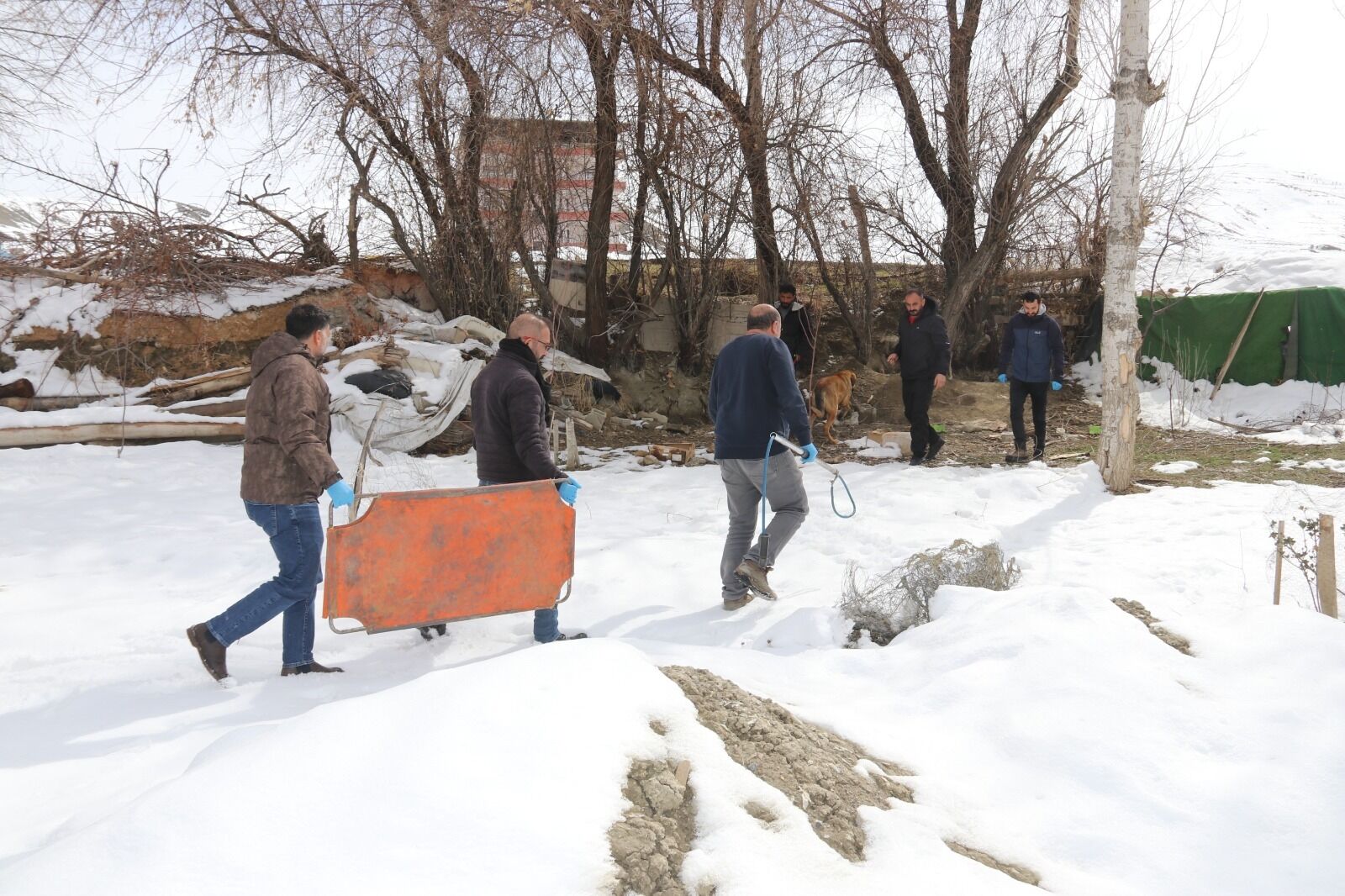 F3D110Bb 1A66 4Bde B078 Fc7A3Fce5B4A