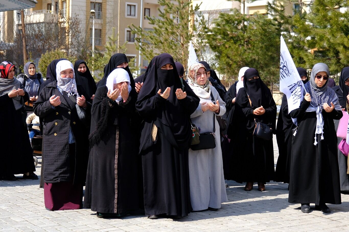 I M G 20260313 W A0076