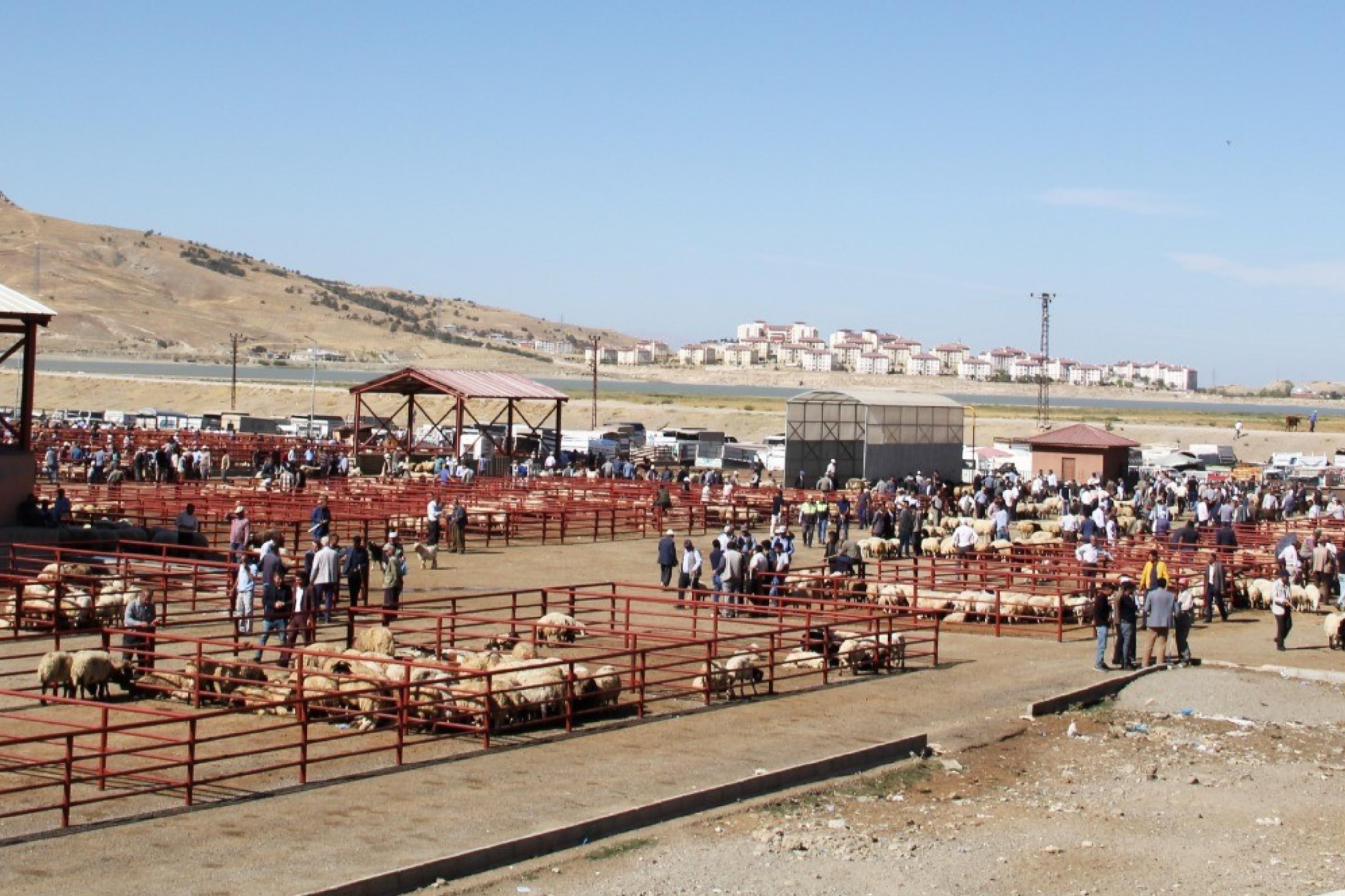 Whatsapp Image 2026 03 18 At 16.10.49