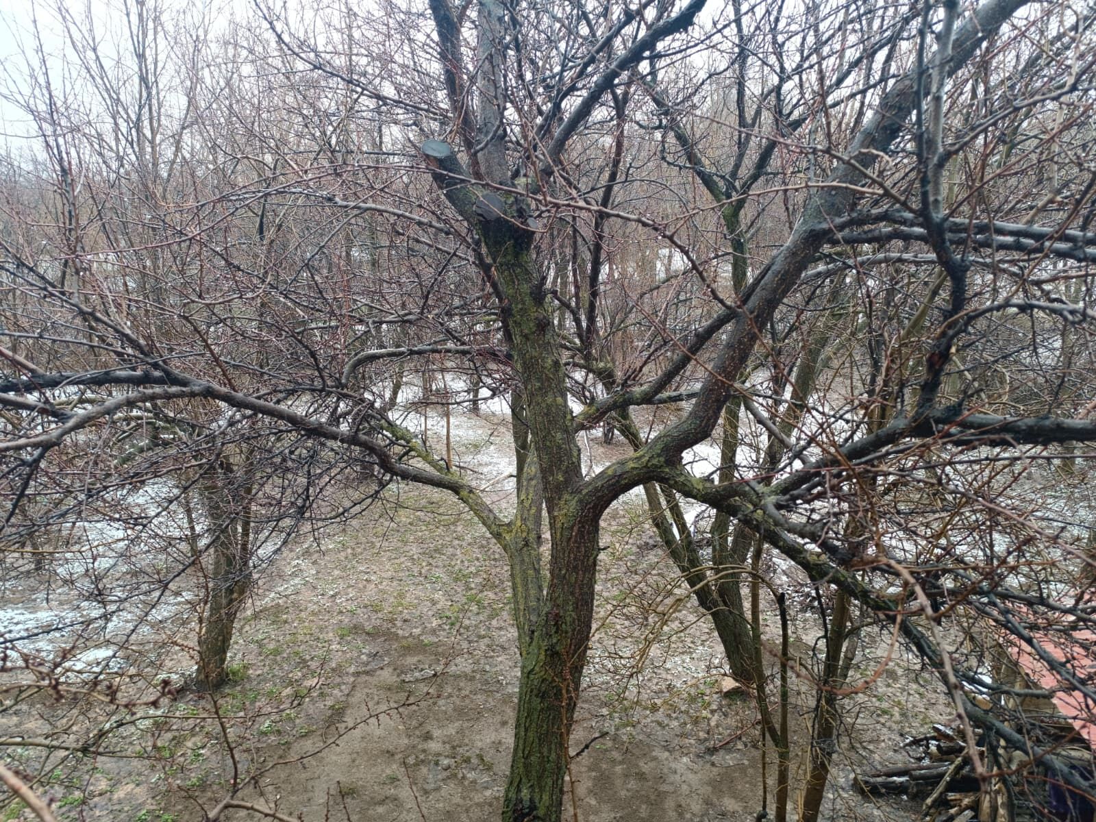 Whatsapp Image 2026 03 27 At 11.14.04