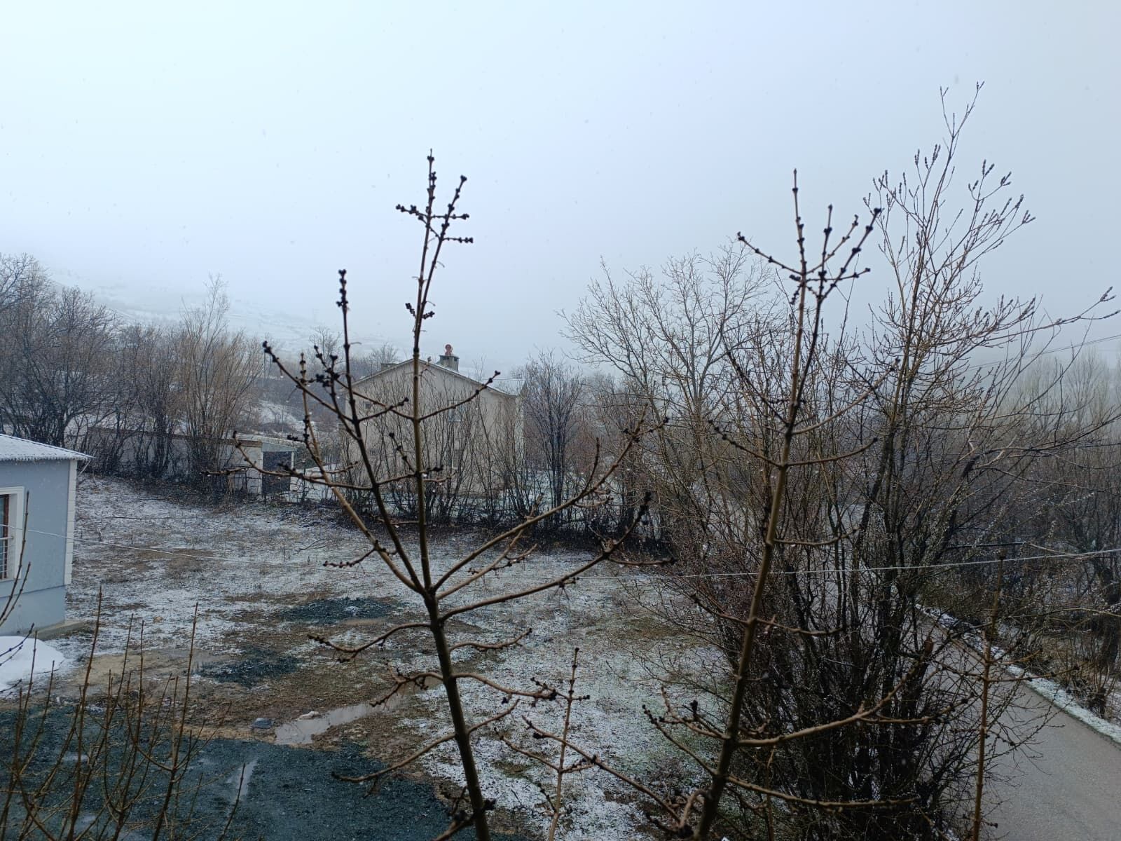 Whatsapp Image 2026 03 27 At 11.14.09