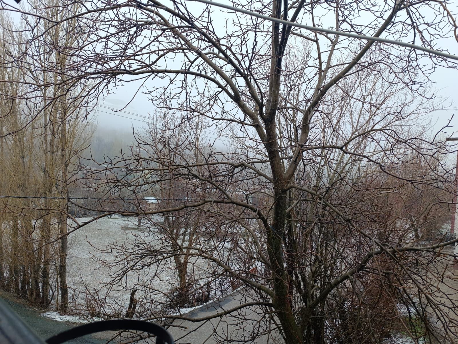 Whatsapp Image 2026 03 27 At 11.14.10