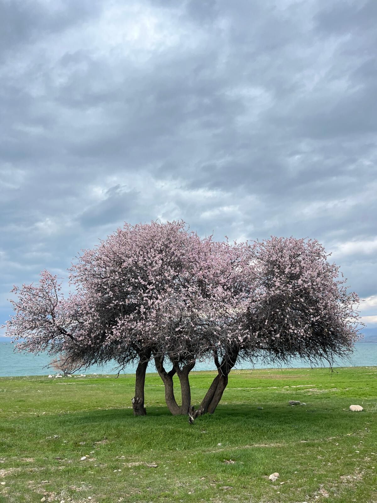 0E301Df0 3A7D 4Eb1 A03C 649Ec66A81A4