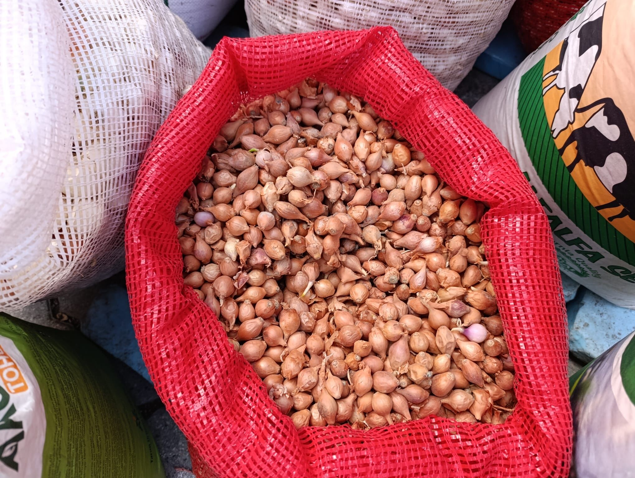 1D8D1D2E 2610 4Eba 9584 8E297Cc2018A