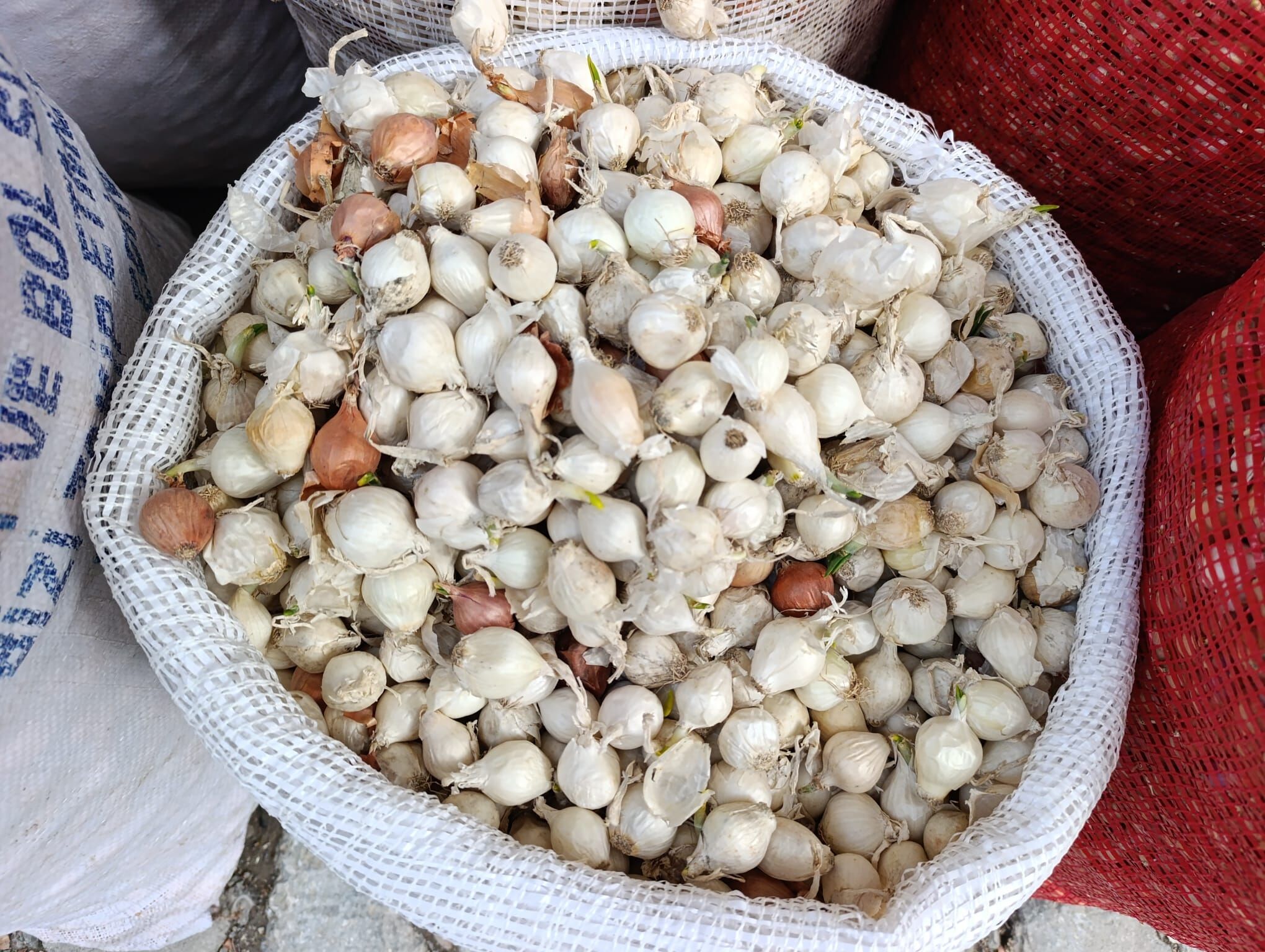 1Ef4Cea2 Ff7B 4Ca9 Aba2 Ade487A08Ae0