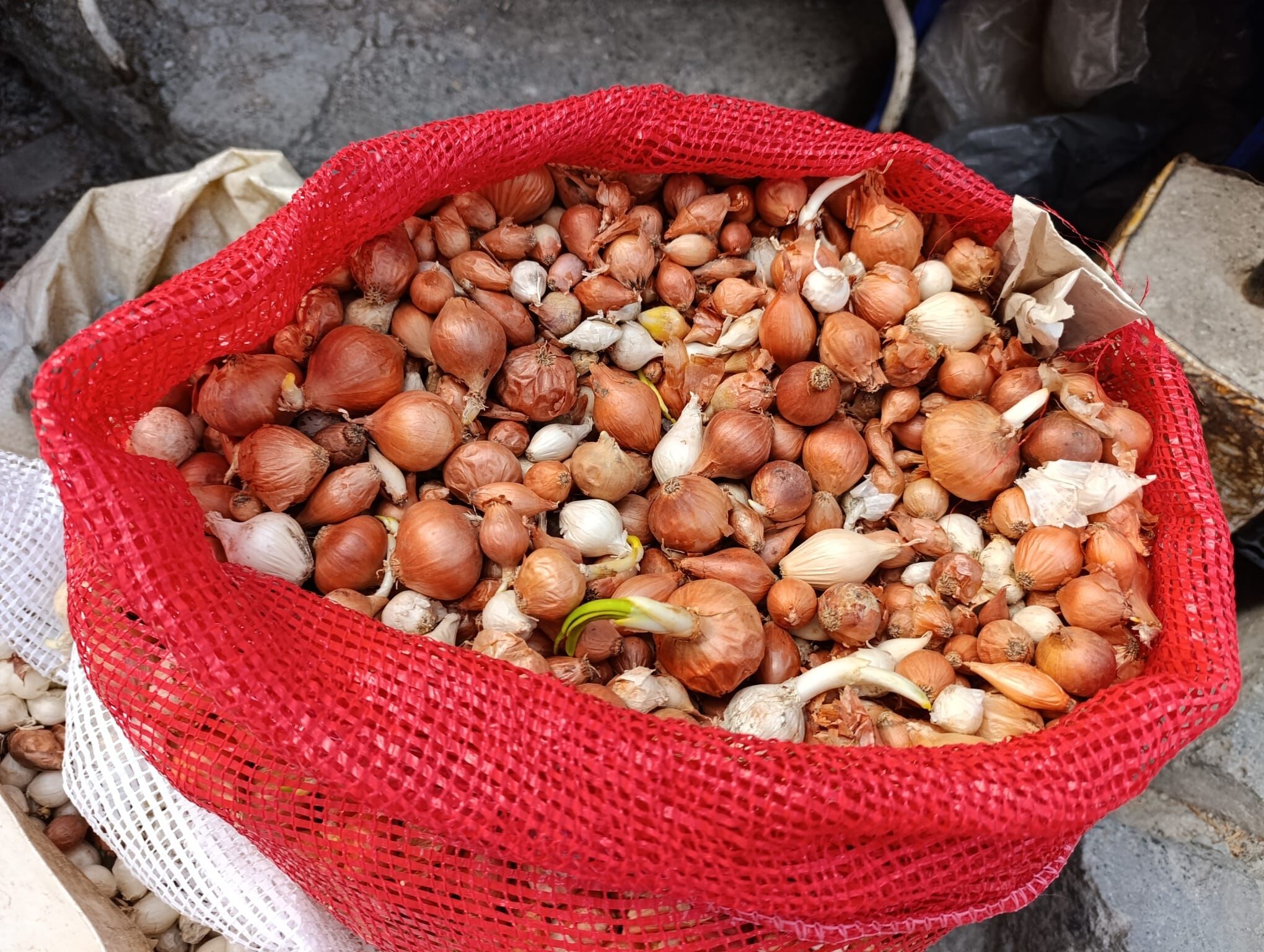 47D64491 4125 4195 970B 893E7F621664