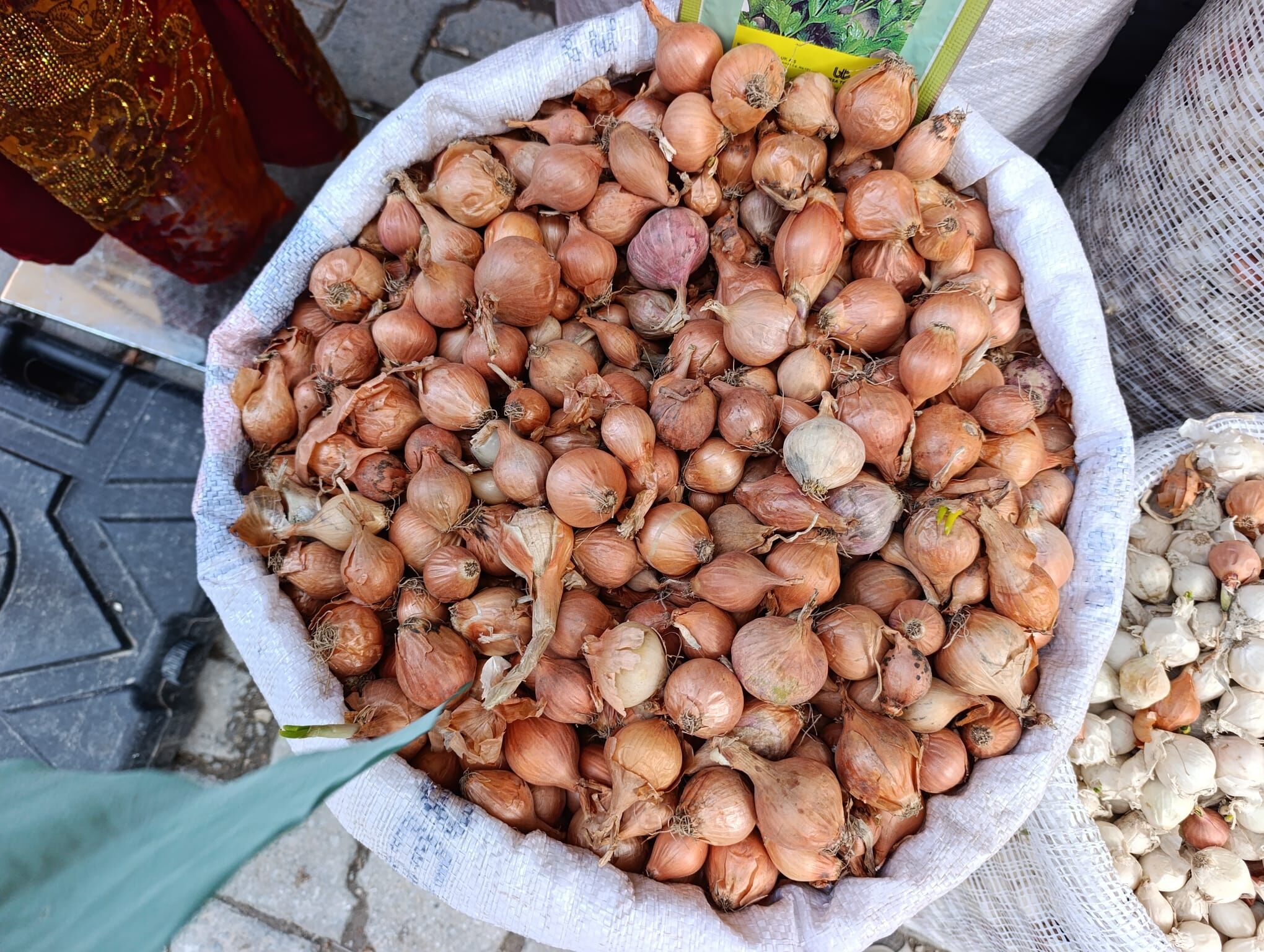 50160Cd7 F03F 453A Bccb 479082C84401