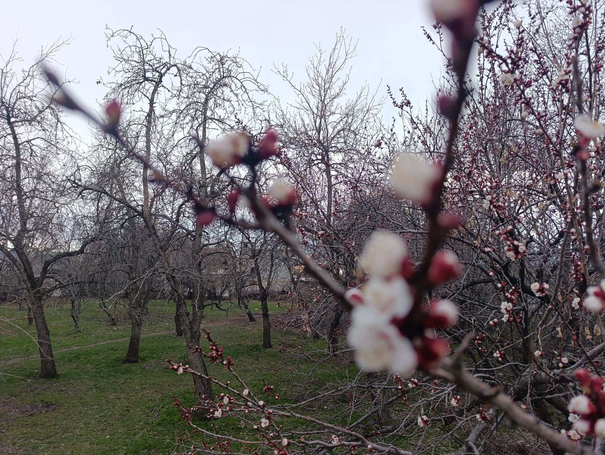 50F60A37 096B 4E03 Bbbe E17Ad9F62C48