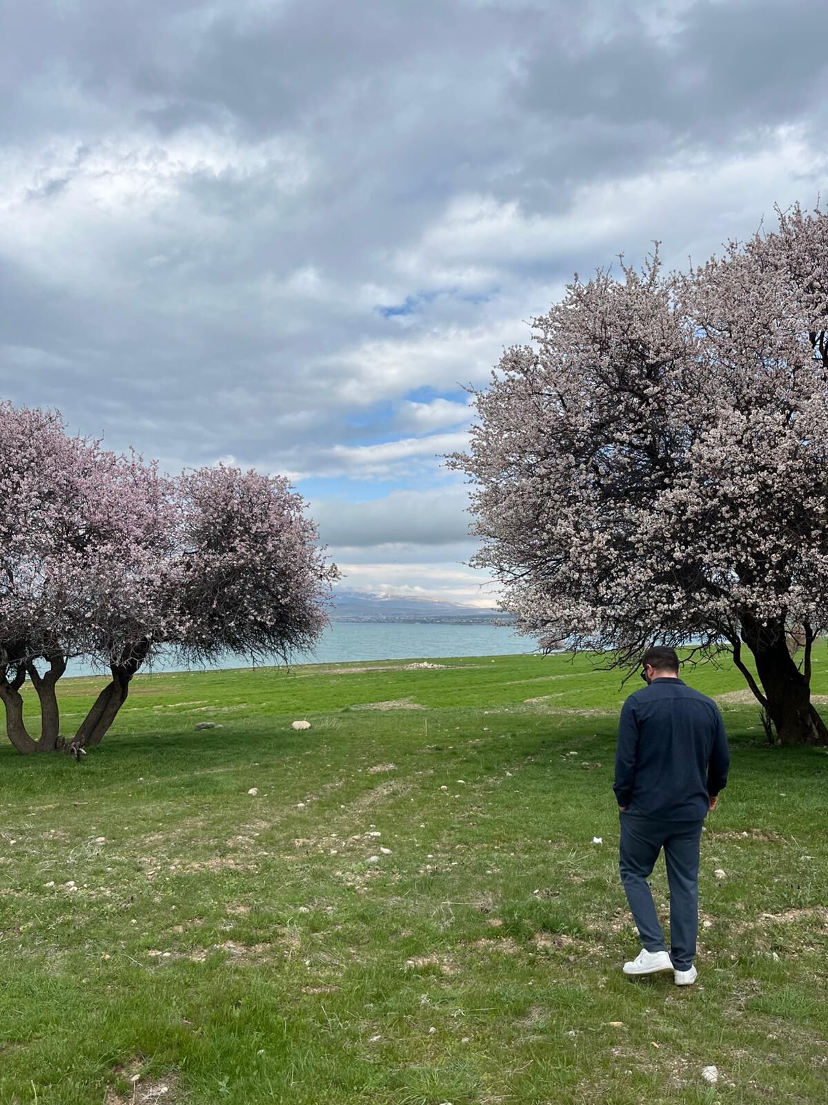 55Fedf6E 4F18 4Ebb 80E0 Da1D6A6D3321