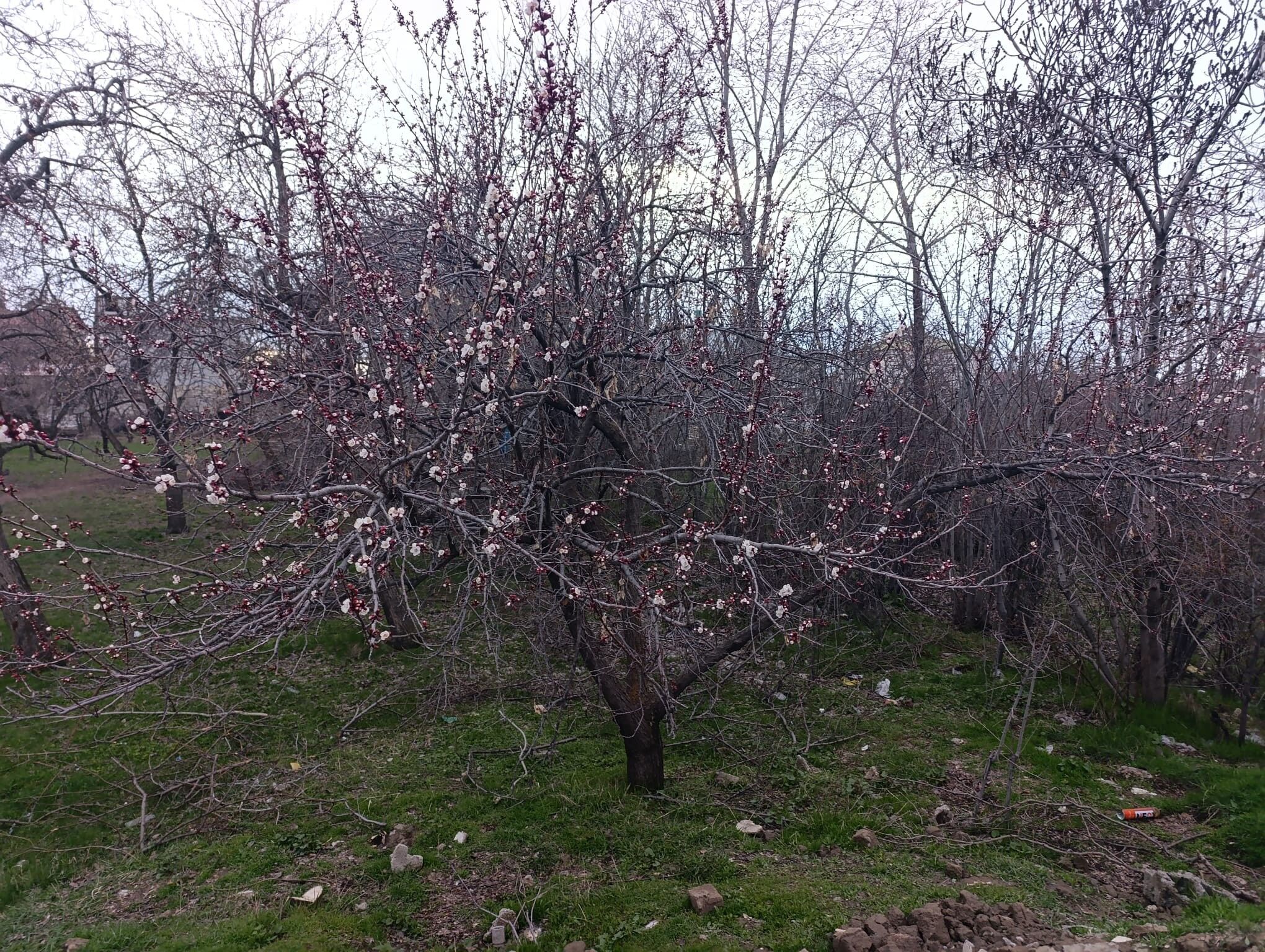 57329B79 6D1A 4Af1 B057 C2280966E40C