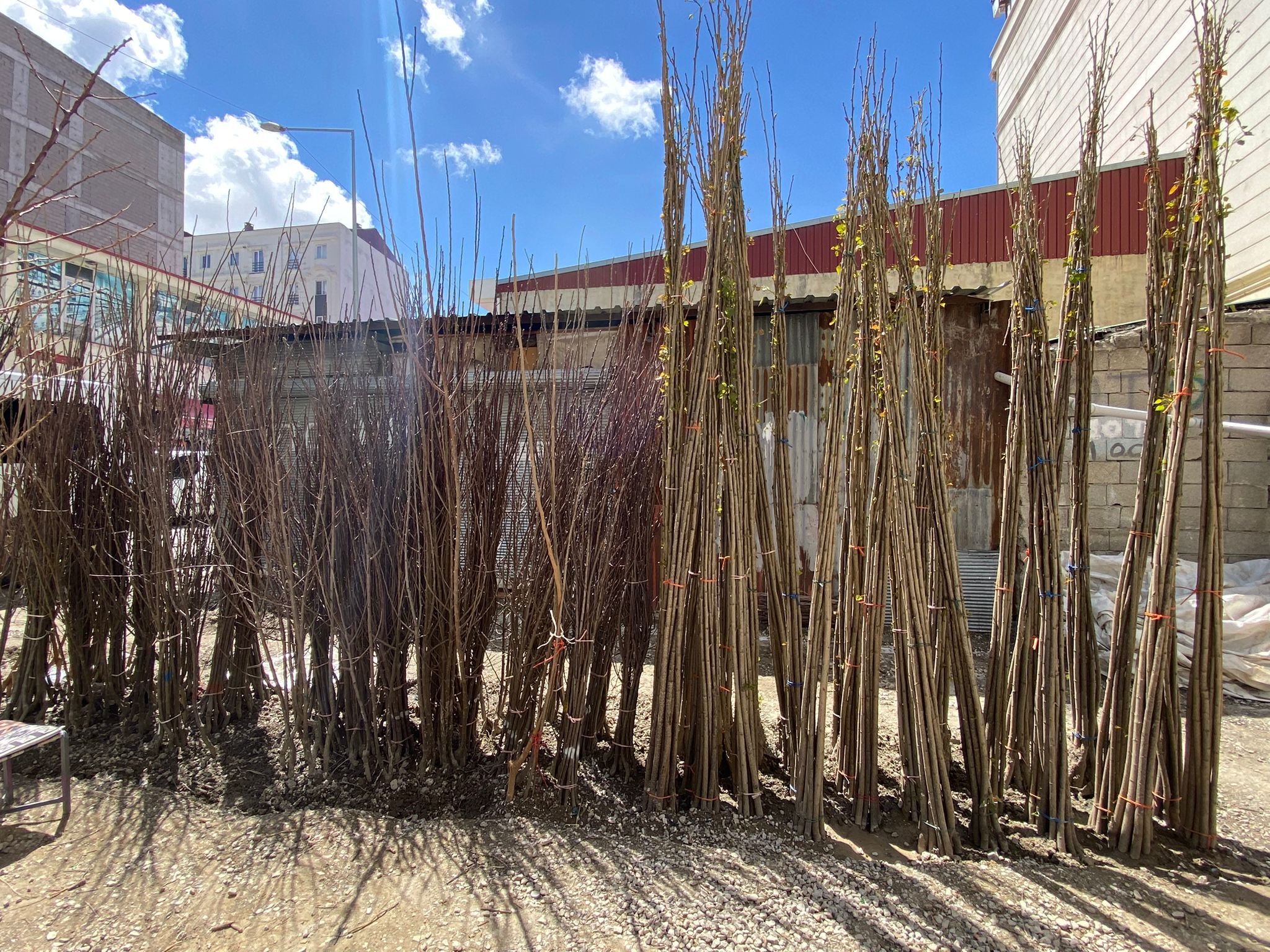 65Ac7E8E Ab9C 47E4 Ab9A C4557E015Ad4