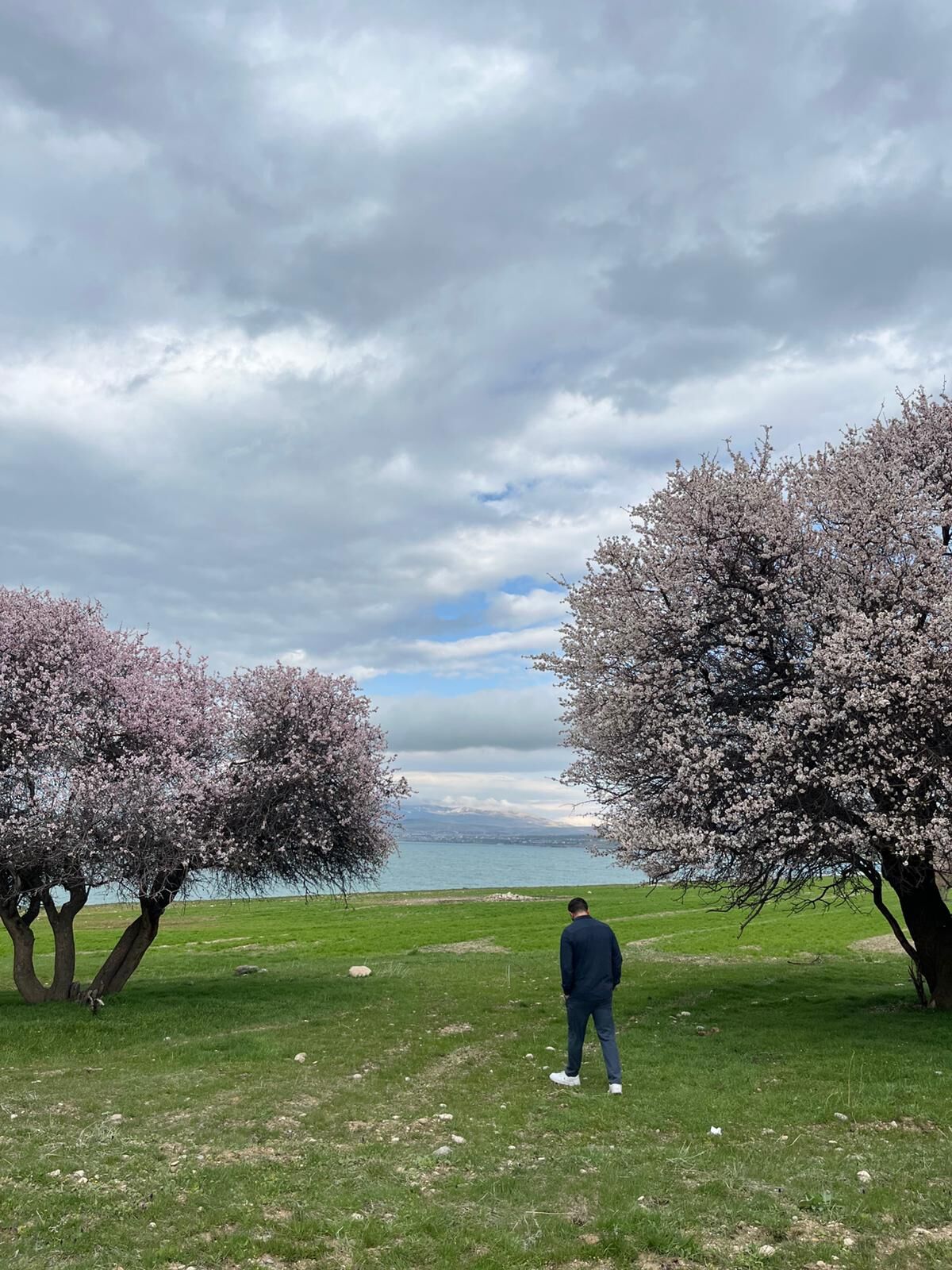 6A0Ce630 Fd34 4Baa 8B45 15865Ae26B93