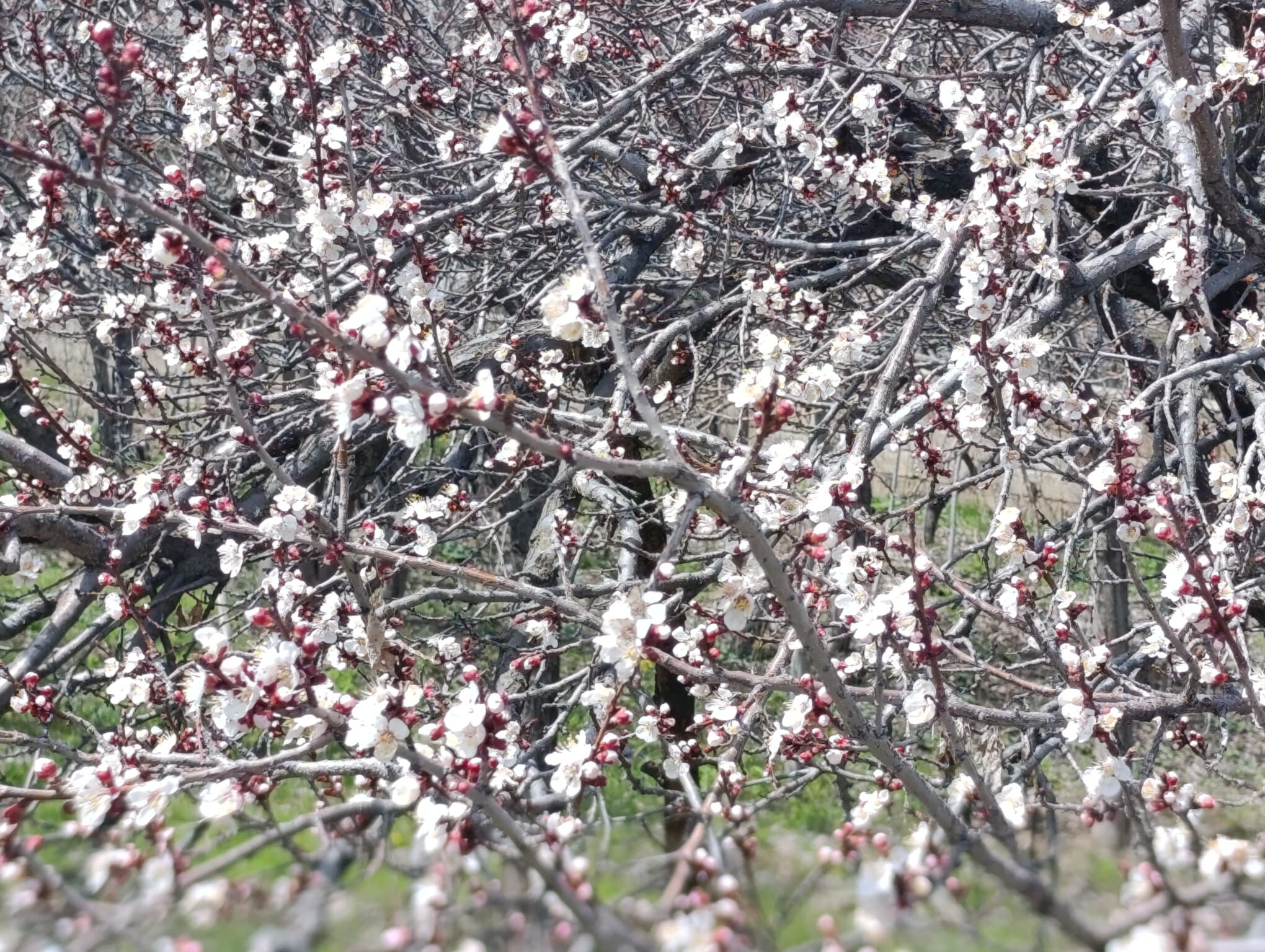 6B18C186 5A40 4Ad3 9B88 181D10Ab132E