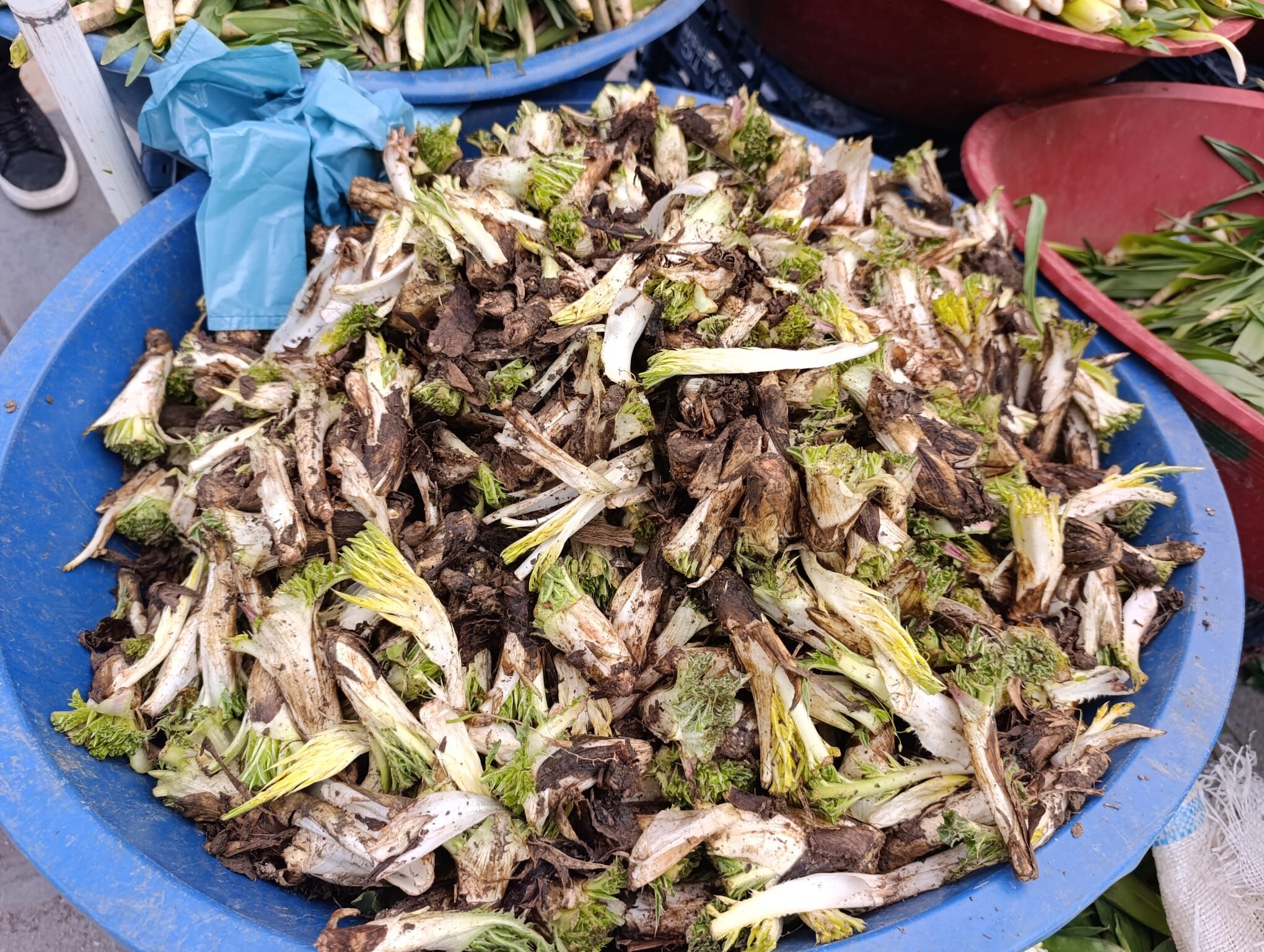 A8Db5D4F F551 4F94 8E83 5D1758169746