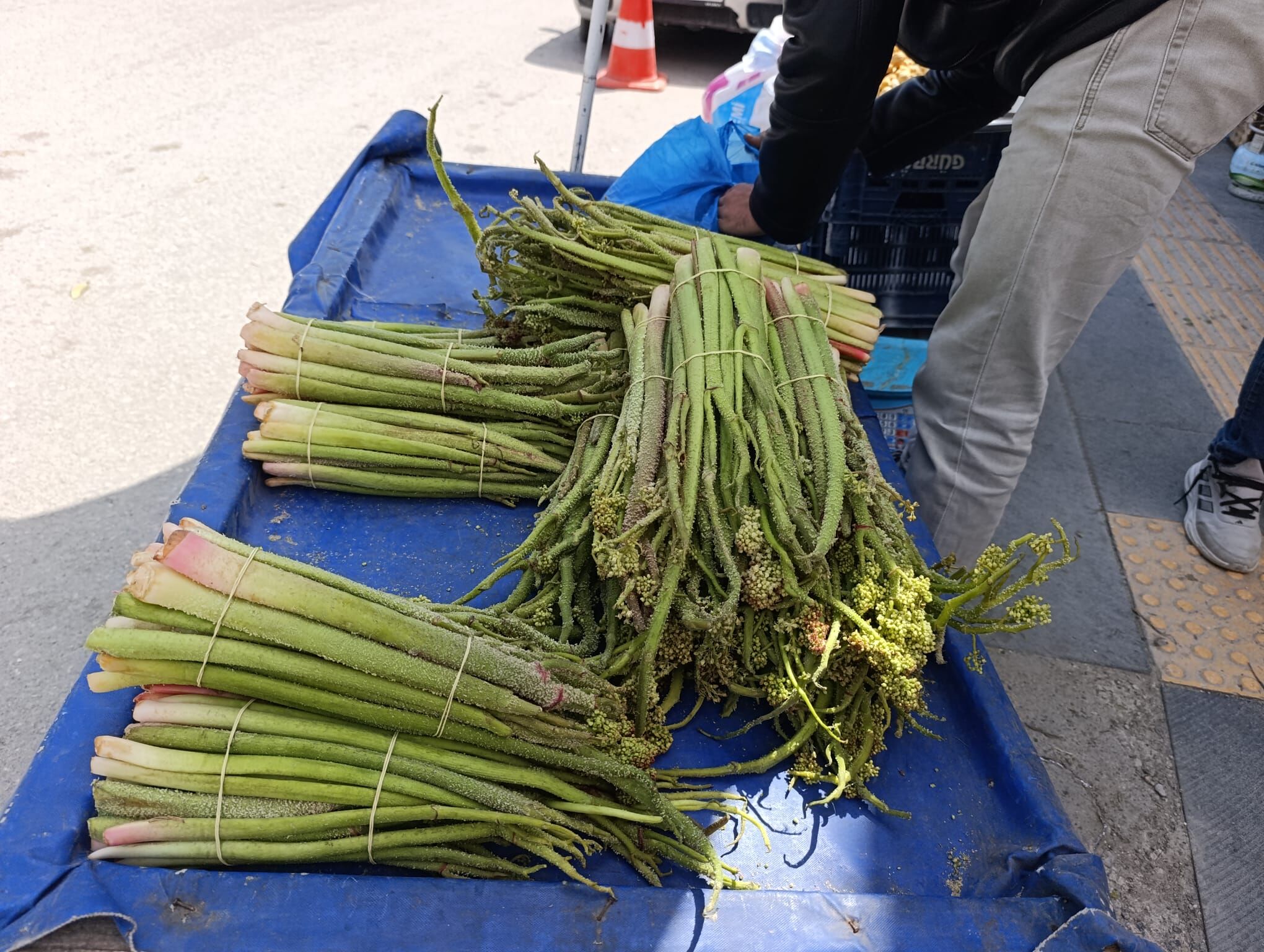 Aca9F775 78C5 4A82 8580 D7661Cff0C60