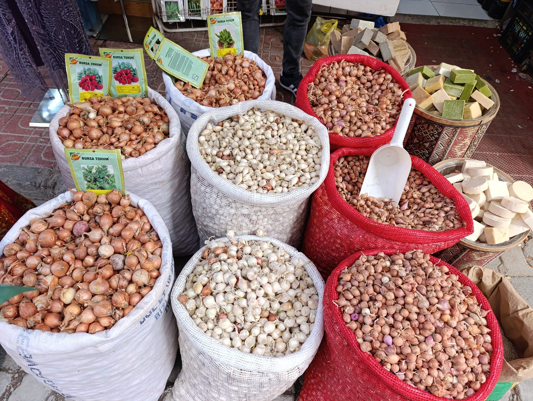 Ba120E6C 04E8 48B0 8A4A F2Ff52Ce8081