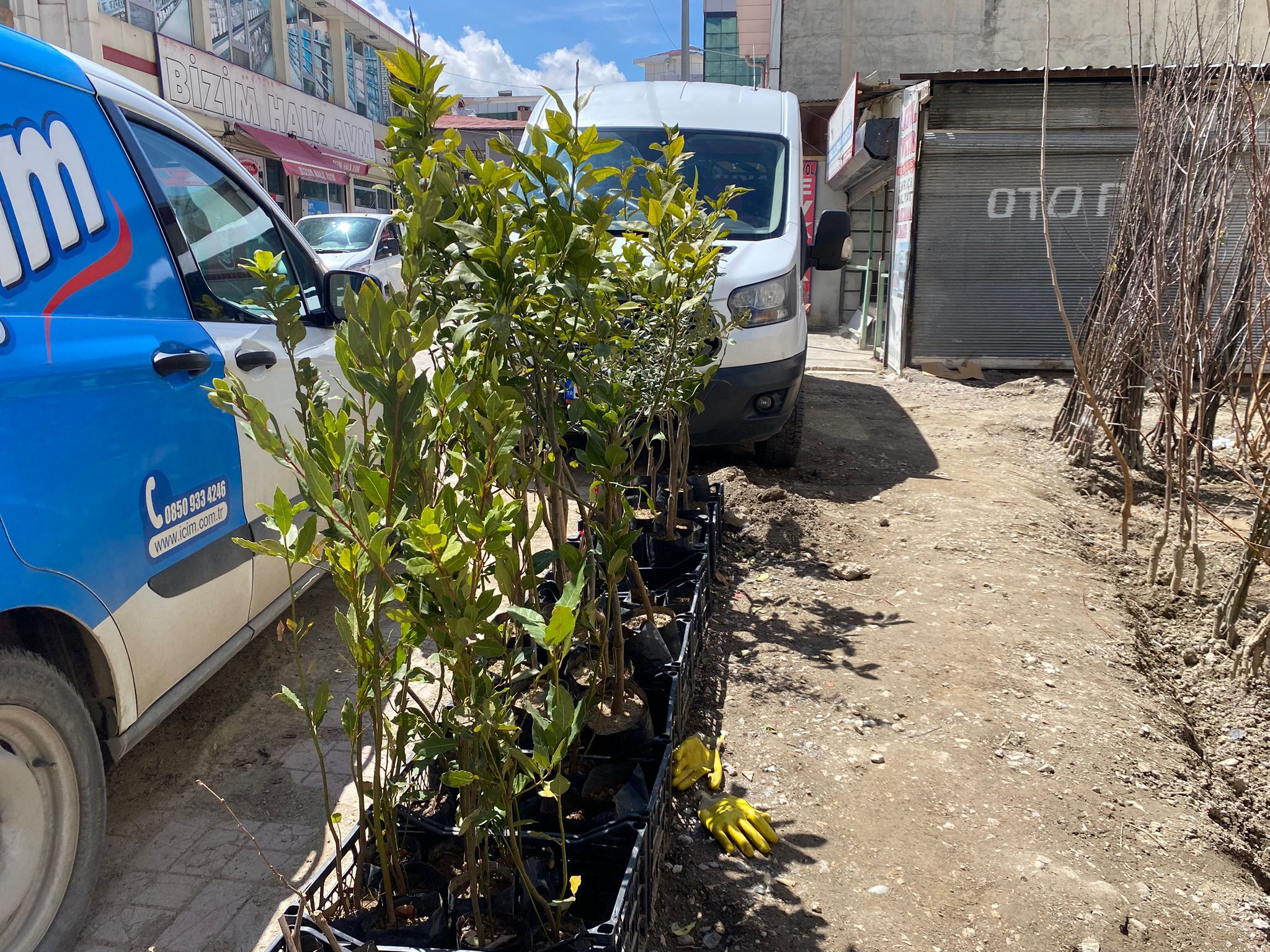 C7D451D6 5969 4Ca3 A1C3 8884455C010E