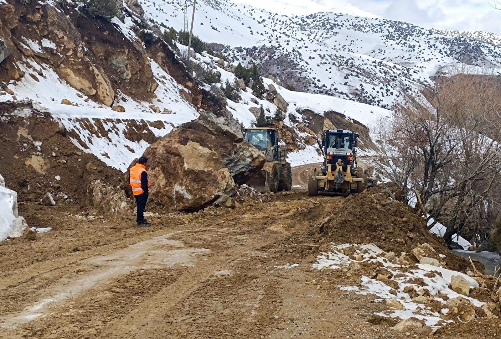 D2Fd95F3 5D17 4C9B 88A5 Cdc5Bf94436E