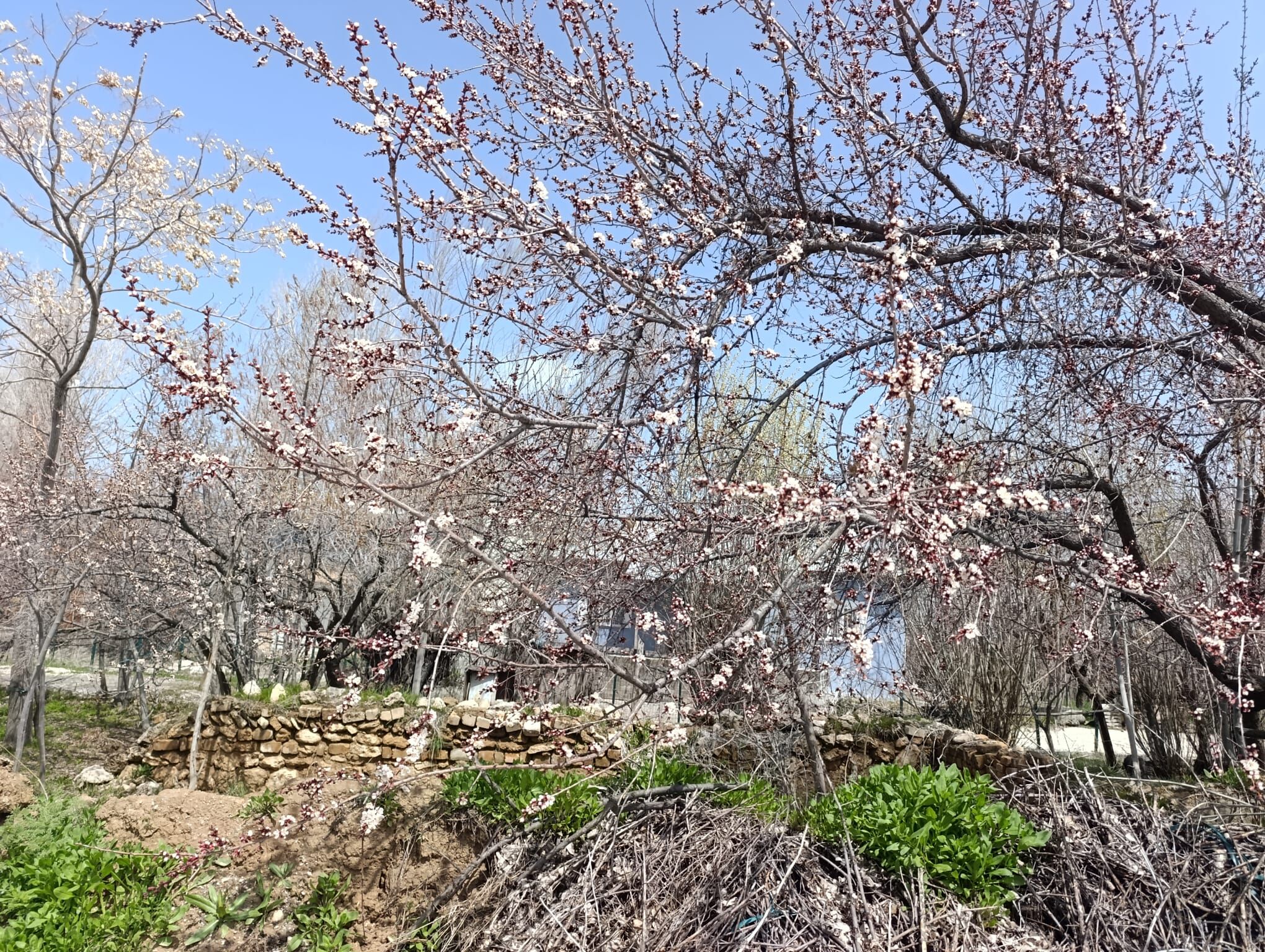 D82Cddf1 0E8B 4C0D 97F6 8798C13119Bc