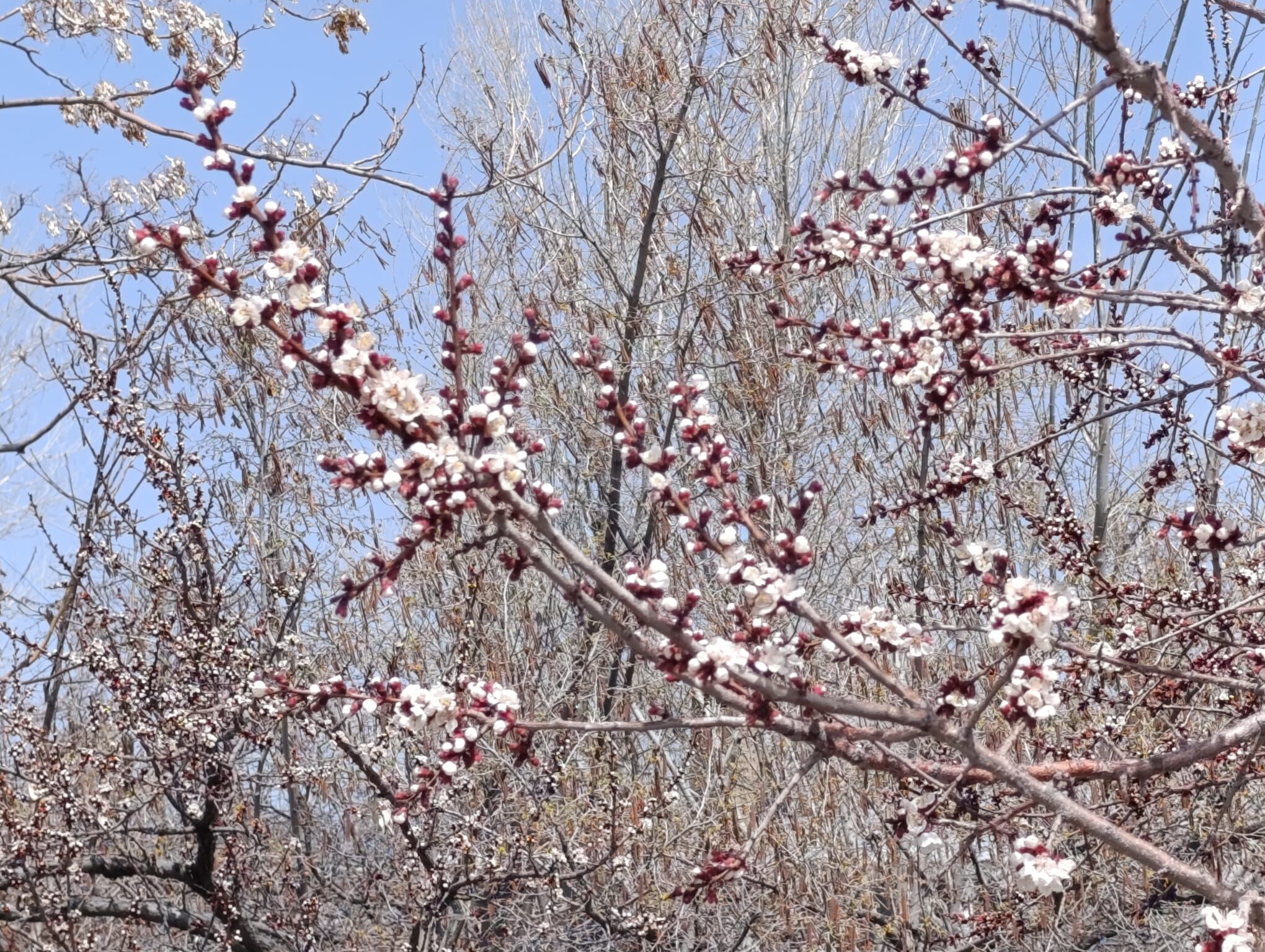 Dbb1B134 47D3 4914 Ba32 0Fce0C14722F