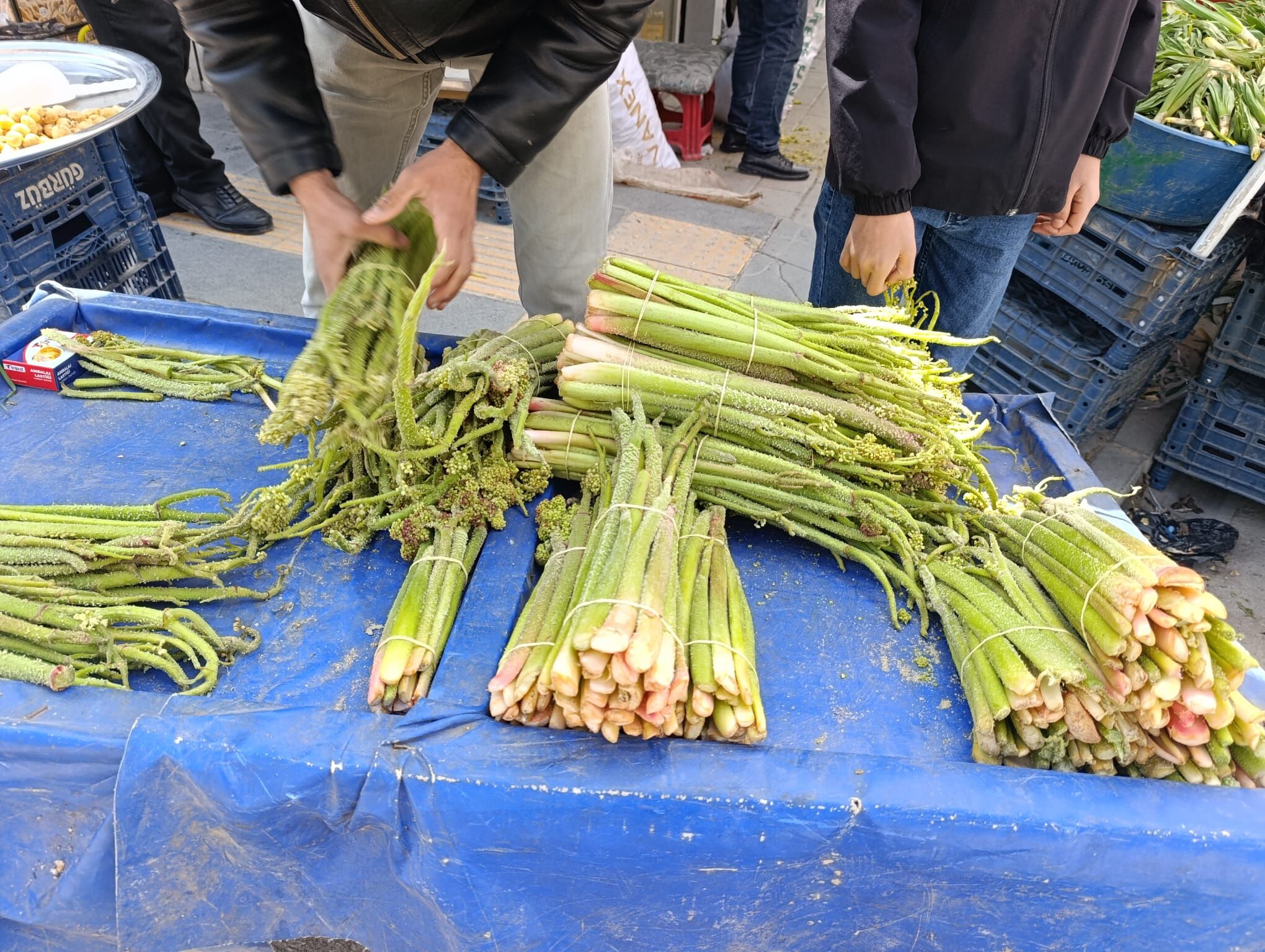 E6B5B4E1 8687 4Ce5 837F E419112Dbb54