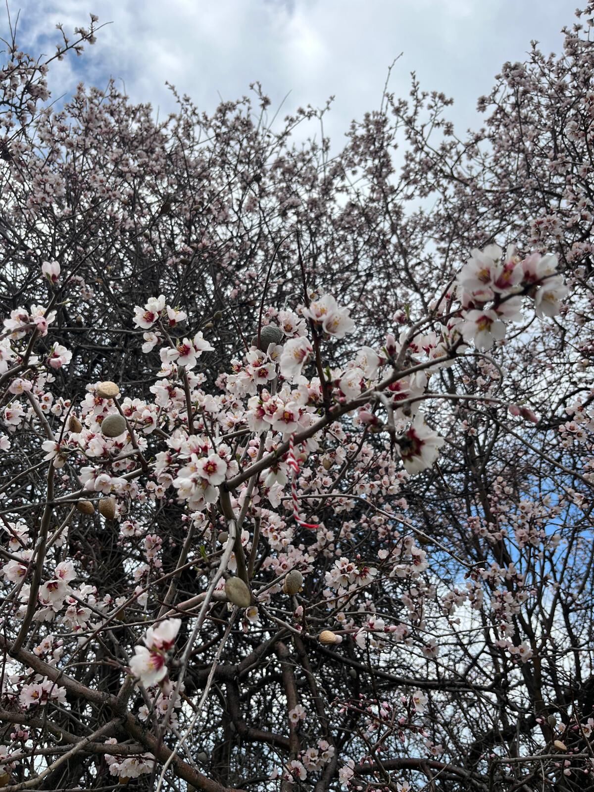 E7B1753E Ee6C 4D9B A7C9 D4F231F96F50