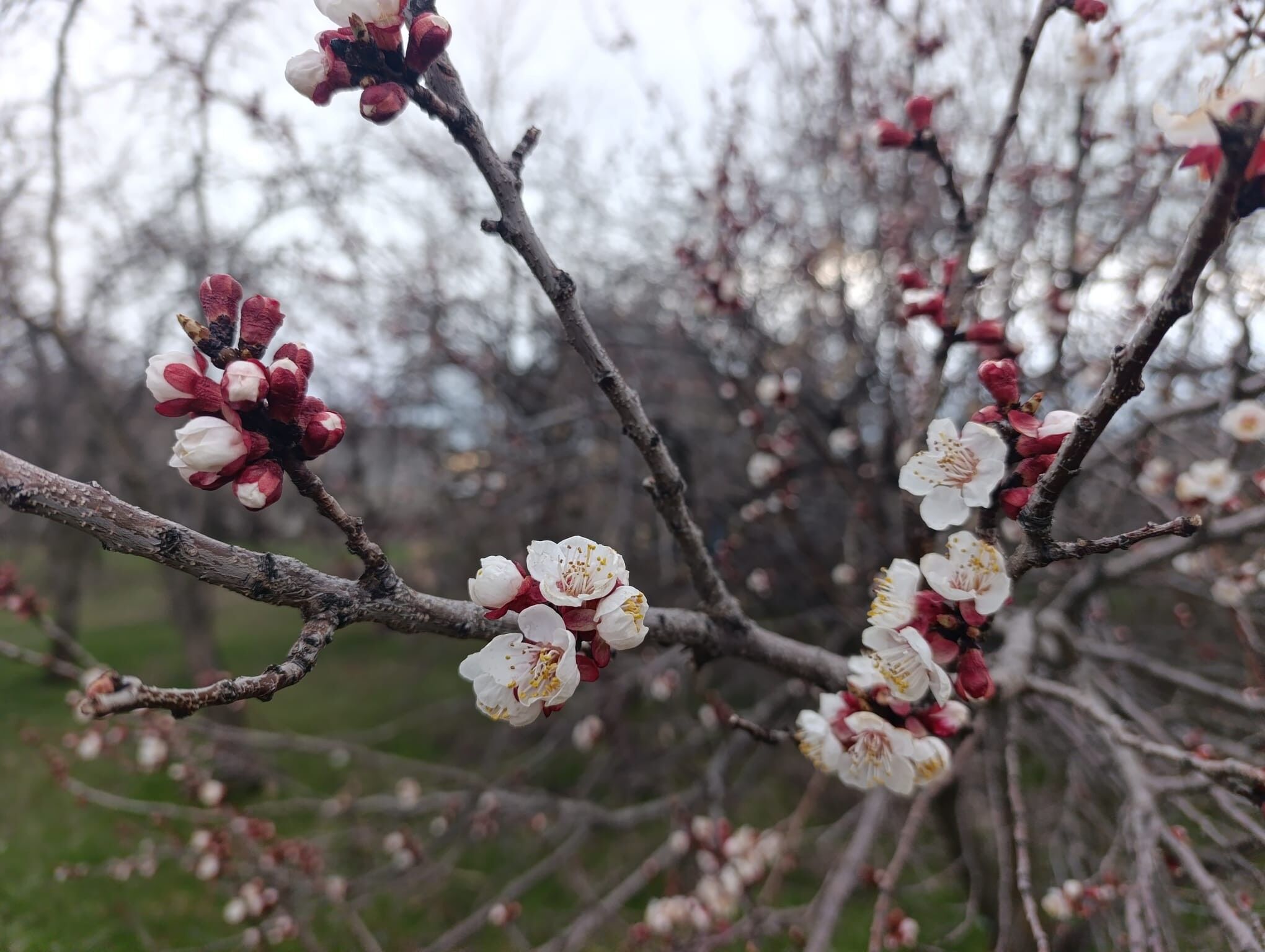 Ecc02302 2021 4B03 B665 Ec9Bd03Eee0D