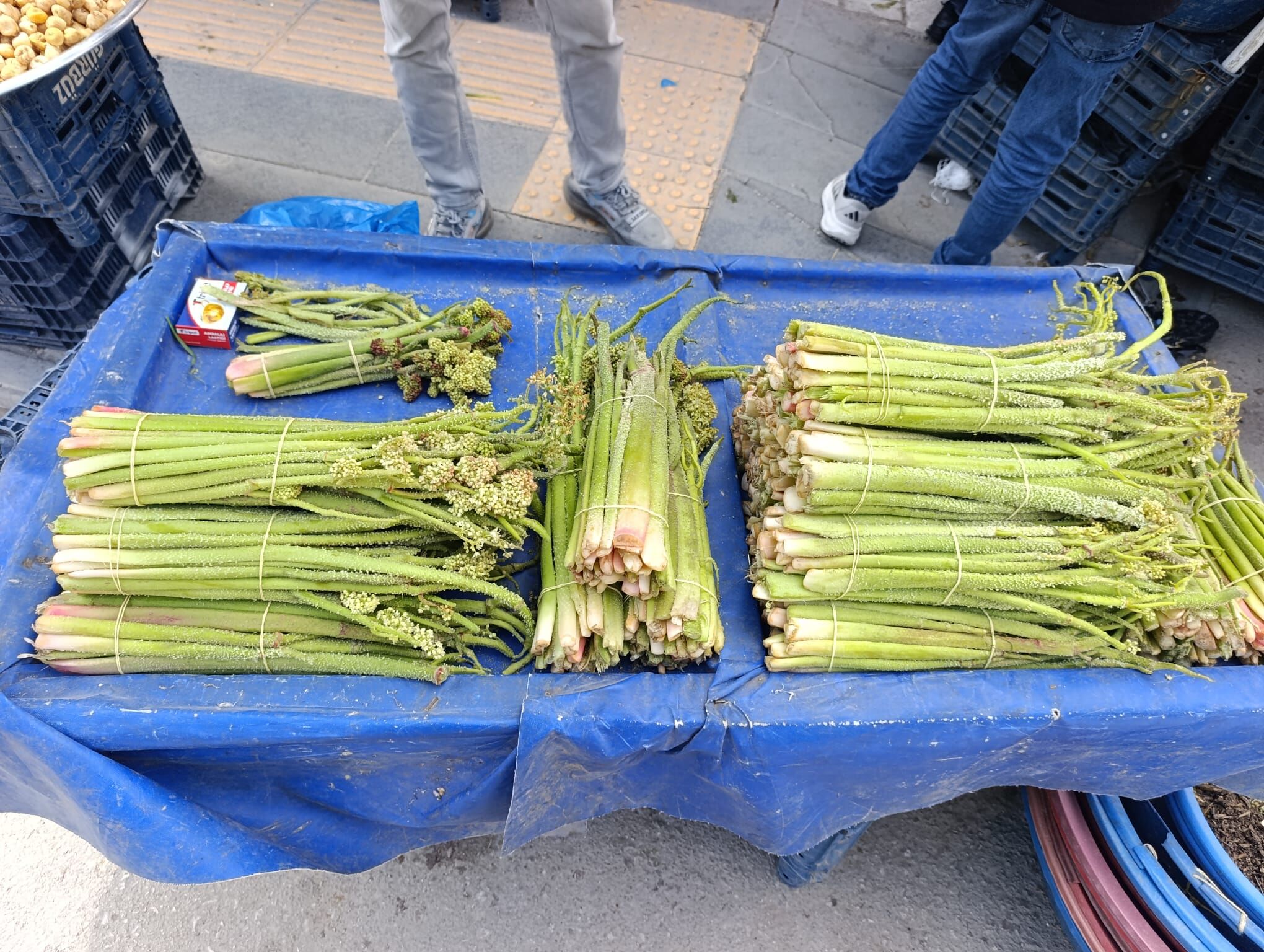 F4Ee505E 42F9 46F0 9240 2D277F2Da4E7