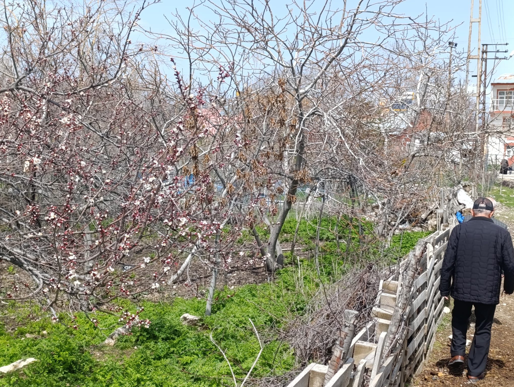 F6E60Ca7 E3Bc 47A9 A1Bd A9Fe890E0792