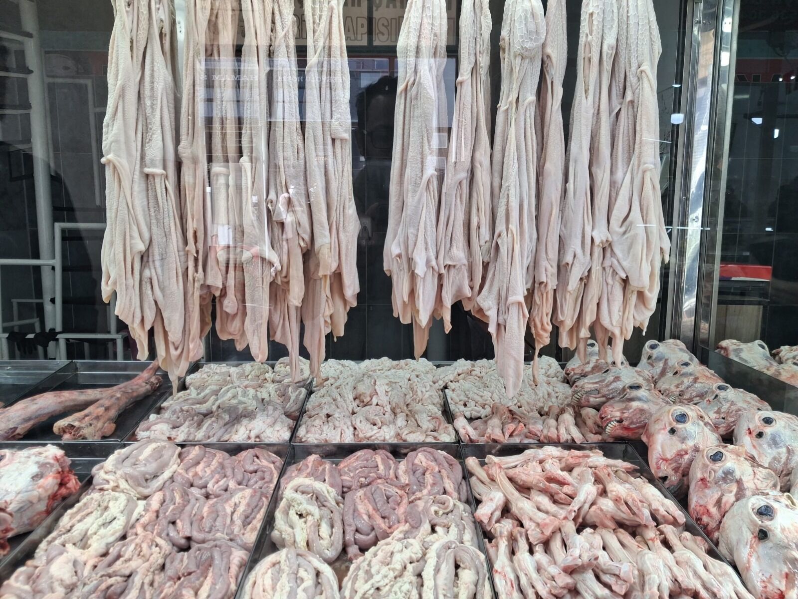 I M G 20260419 W A0001