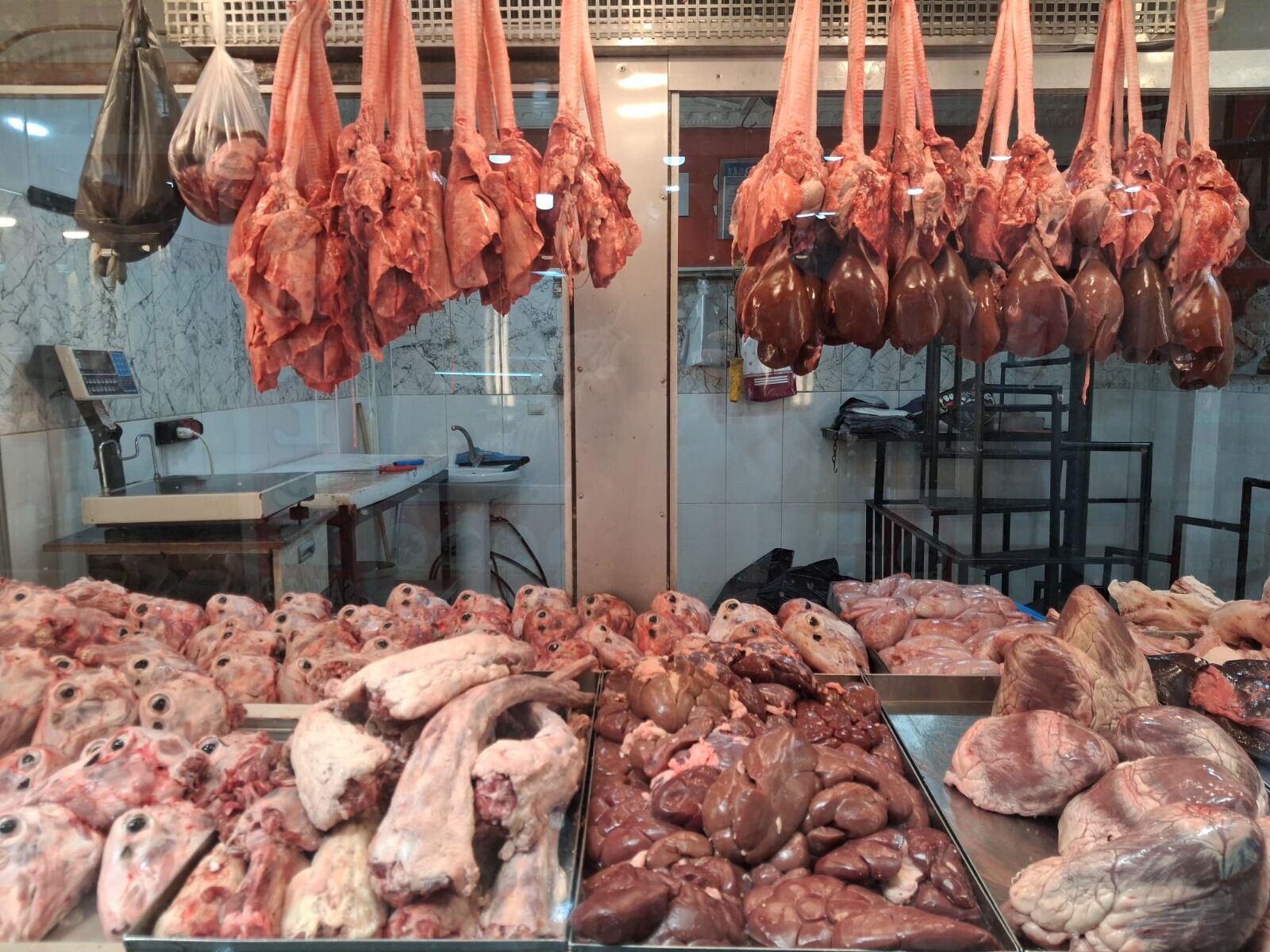 I M G 20260419 W A0002