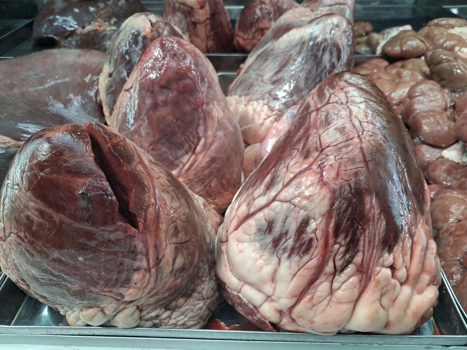 I M G 20260419 W A0004