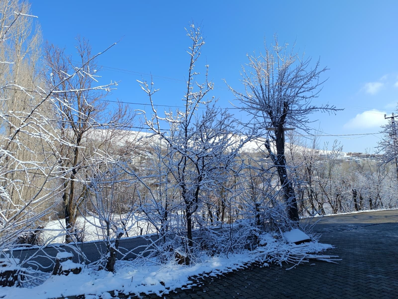 Whatsapp Image 2026 04 15 At 11.37.19