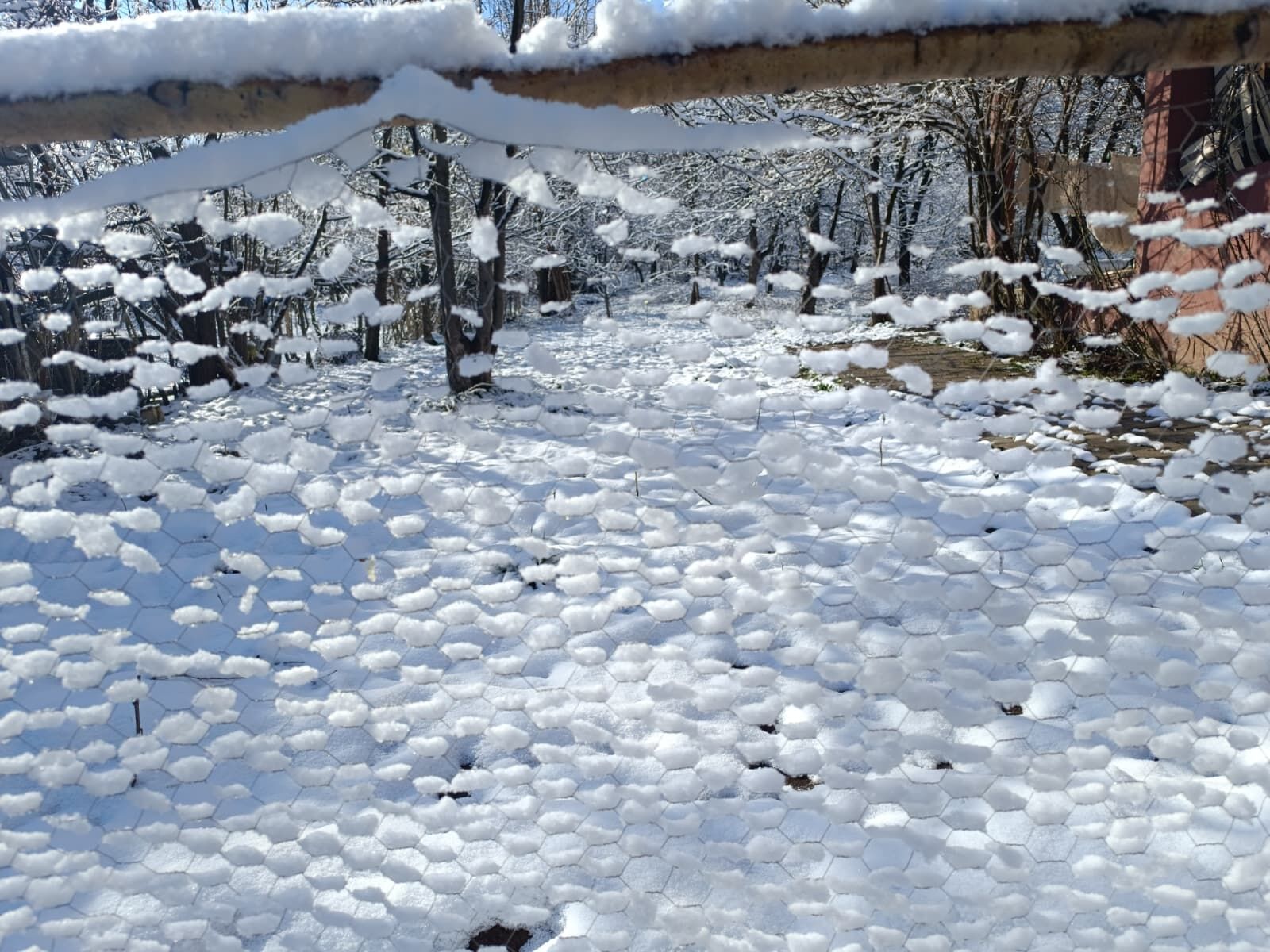 Whatsapp Image 2026 04 15 At 11.37.20