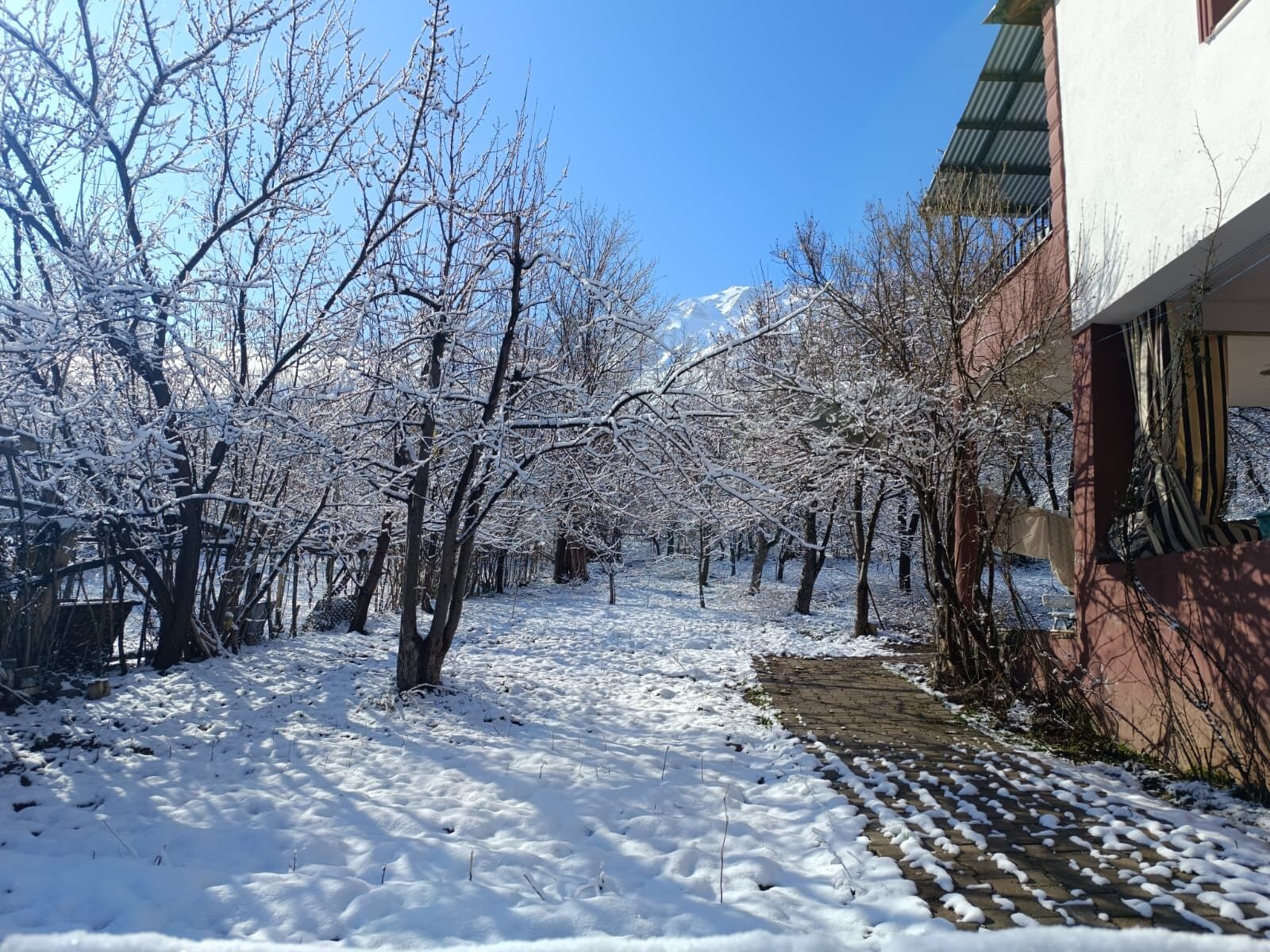 Whatsapp Image 2026 04 15 At 11.37.22