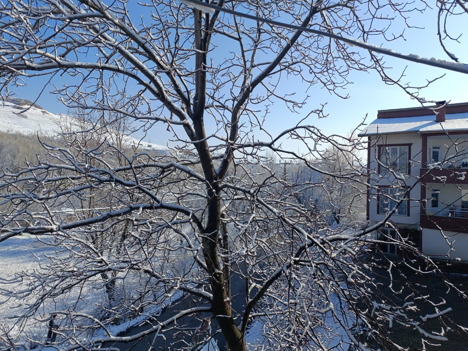 Whatsapp Image 2026 04 15 At 11.37.23