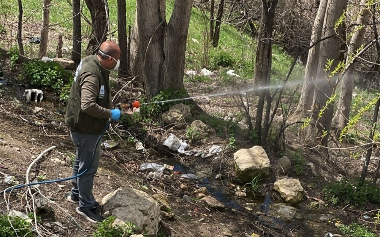 Whatsapp Image 2026 04 29 At 11.35.15