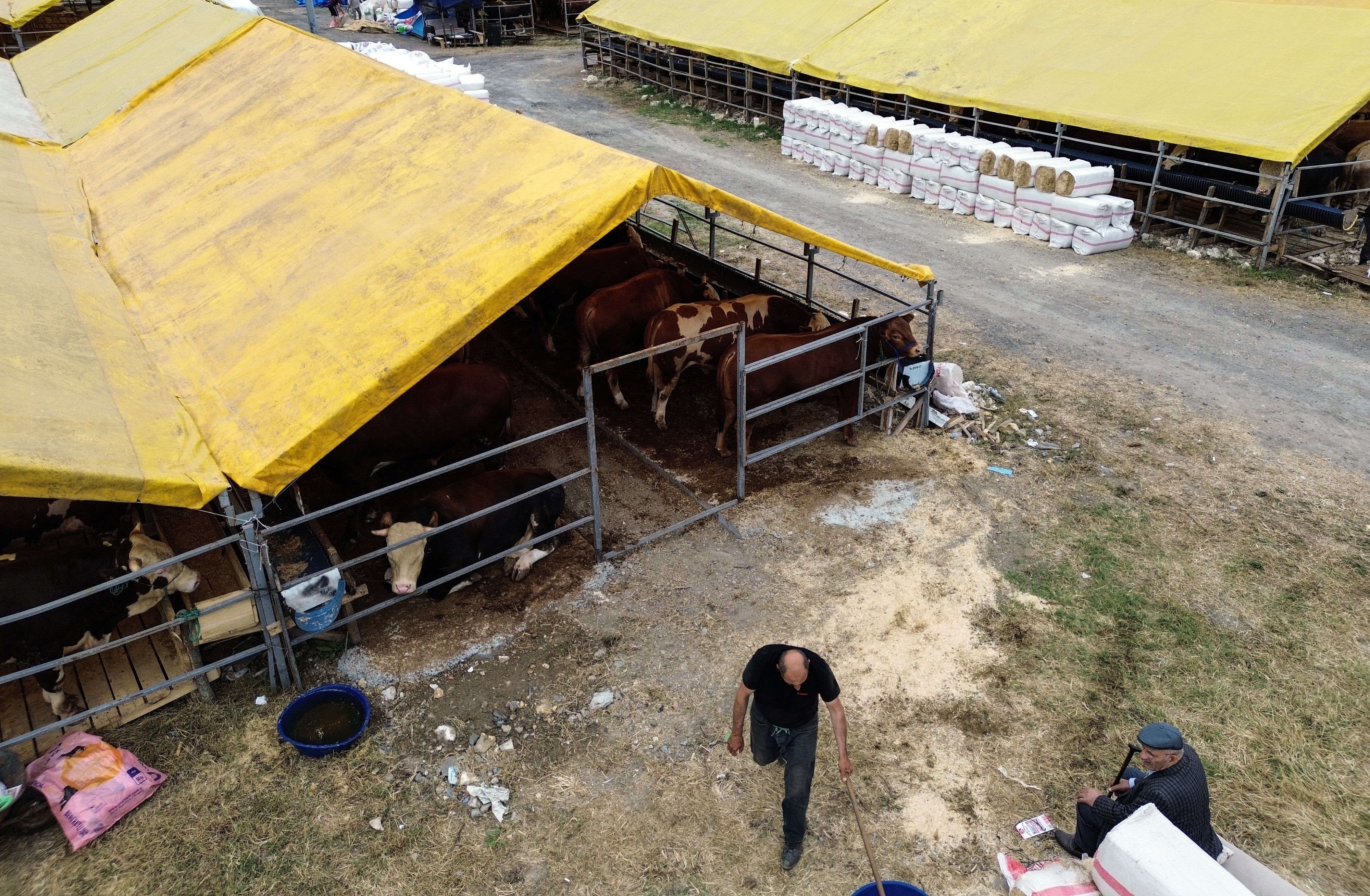 Kurban pazarında ilk günden sıkı pazarlıklar başladı