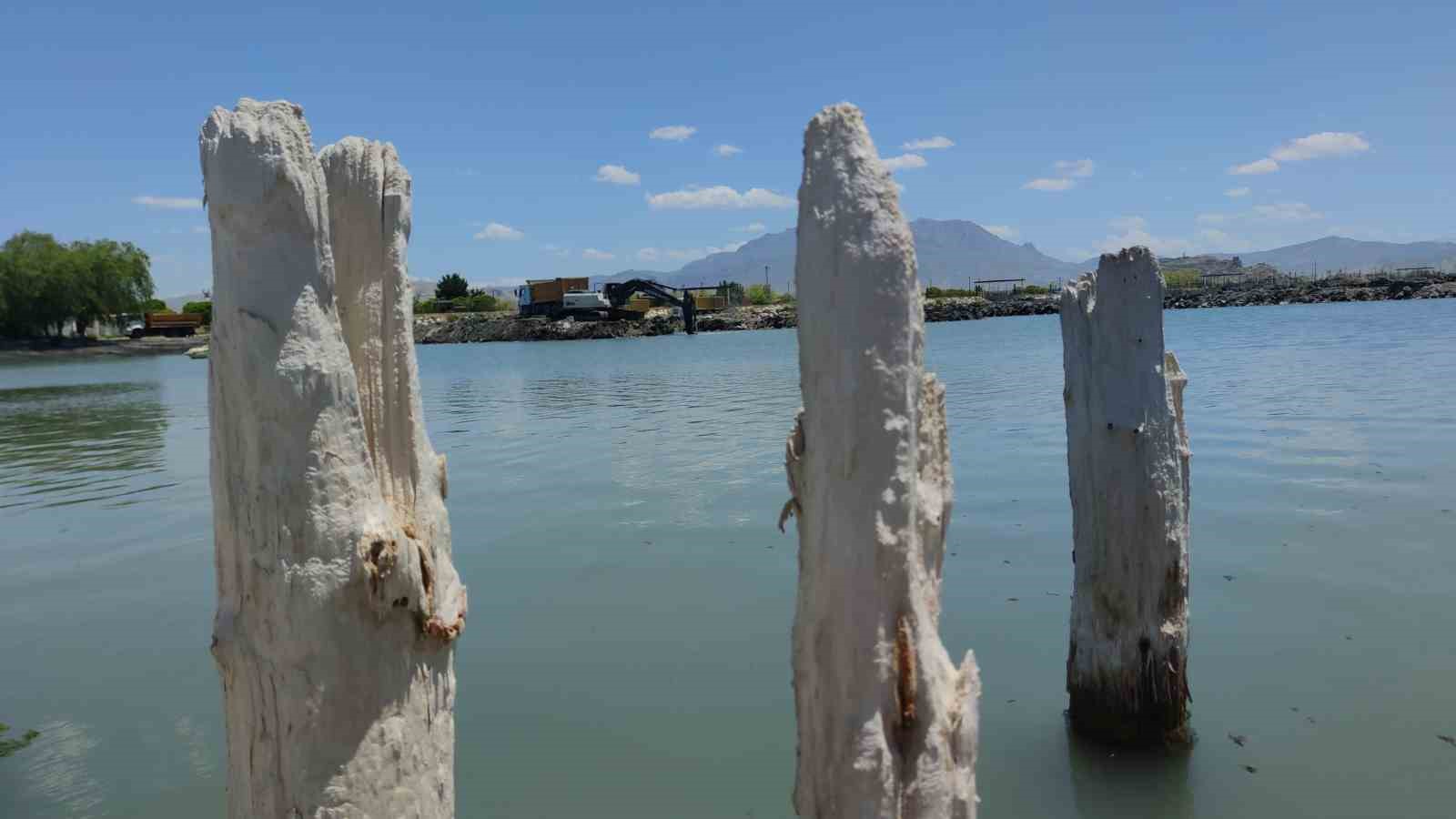 Van Gölü’nde balçık temizliği sonrası 100 yıllık iskele tamamen ortaya çıktı