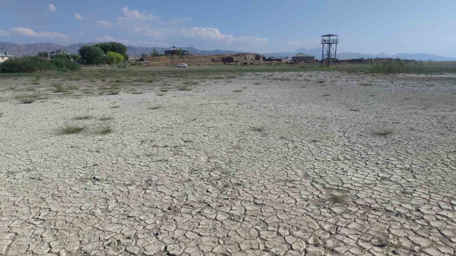 Erçek Gölü’ndeki su kaybı devam ediyor